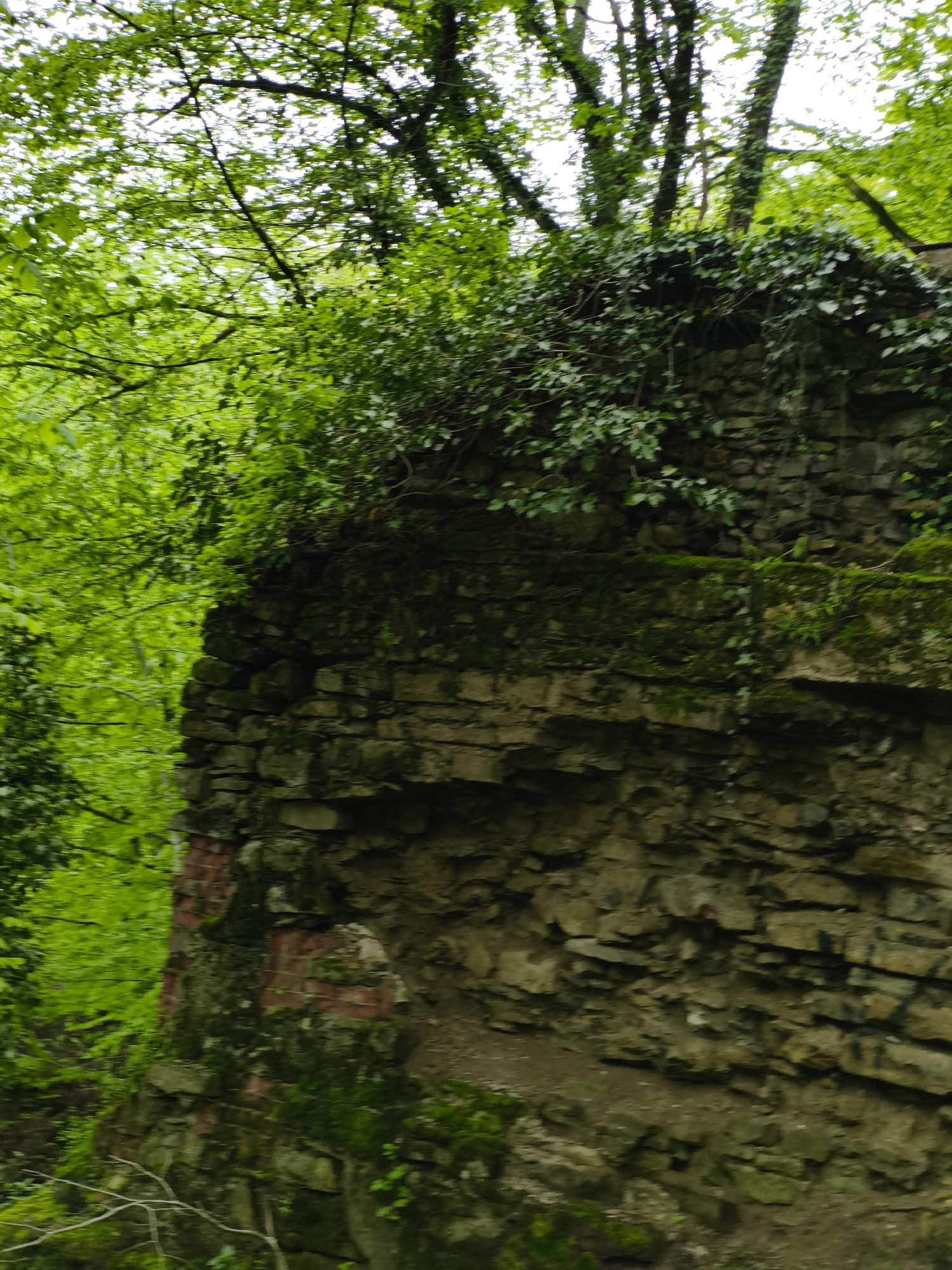 The image shows a stone and brick wall structure, likely ruins, covered with vegetation, including ivy and moss. It's situated in a forested area, with dense green foliage visible in the background and around the wall. There is exposed brickwork visible in a few locations. The location is Goryachiy Klyuch, Russia. No people are visible in the image.