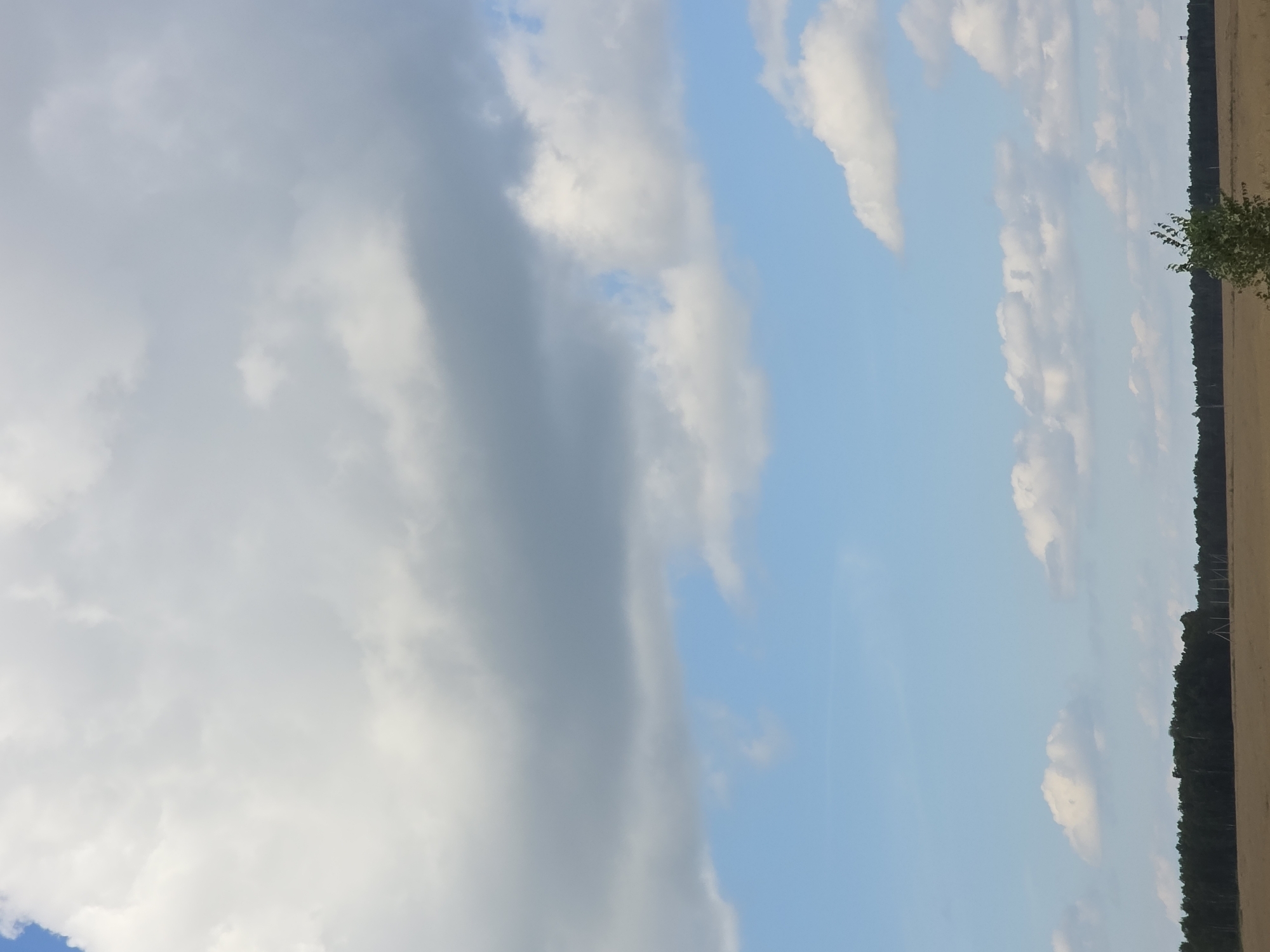 A panoramic, eye-level, outdoor, daytime shot captures a vast expanse of sky above a rural landscape in Kuluevo, Russia. The sky is predominantly blue, with large, fluffy white and gray clouds dominating the upper portion of the frame. Below the sky, a treeline of dark green foliage stretches horizontally across the middle ground, punctuated by a few distant poles. In the foreground, a field of dry, light brown grass extends to the horizon. A lone, small green tree stands in the lower right corner of the frame. The scene appears peaceful and undisturbed.