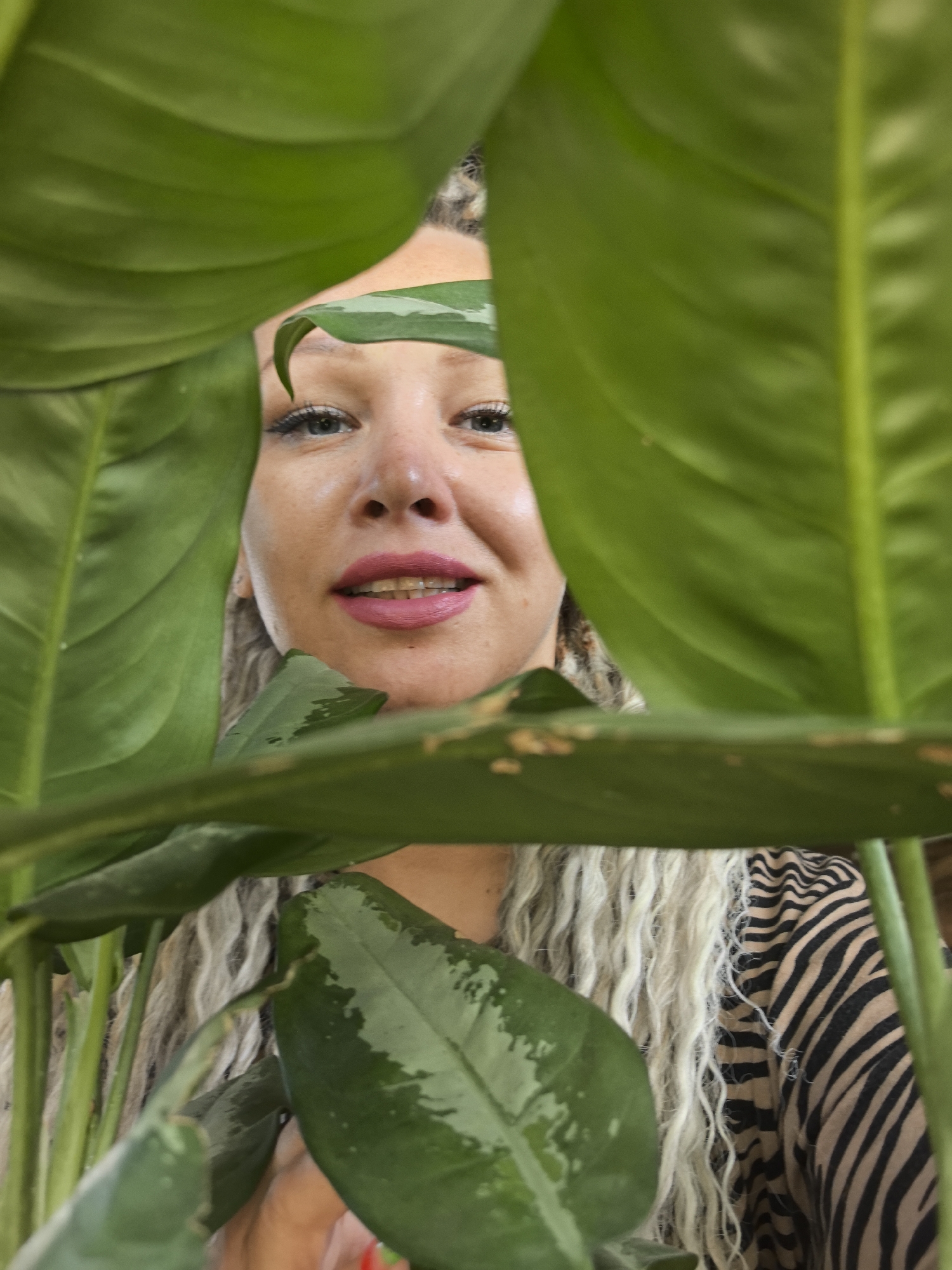 A woman with long blonde dreadlocks is peering through the leaves of a large potted plant. She has fair skin, blue eyes, and pink lipstick. She is wearing a black and tan zebra-striped shirt. The plant has large green leaves with some variegation visible on one leaf. The location is unknown and there is no mention of the city of Noviy, Russia.