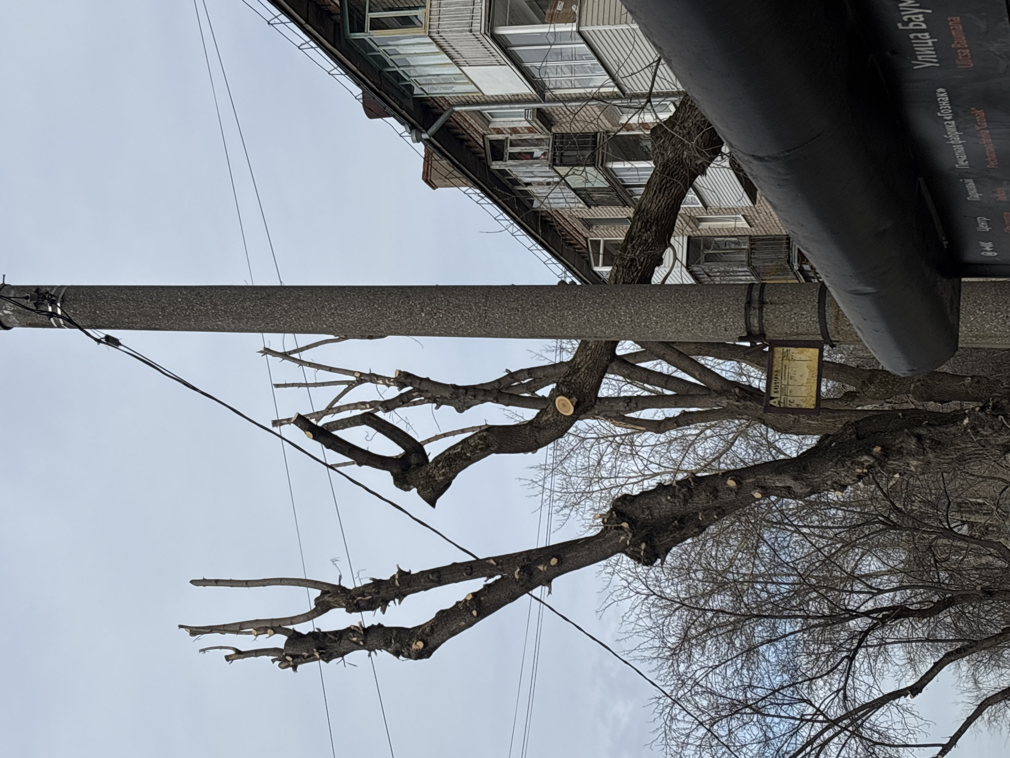 The image depicts a cityscape in Perm, Russia, specifically highlighting "Ulitsa Baumana" (Bauman Street) as indicated by a sign. A multi-story building is visible in the background. A bare tree with pruned branches stands in the foreground, situated near a utility pole with electrical wires. A dark, large pipe runs horizontally across the upper part of the image, possibly for heating or other utilities. The sky is overcast and gray.