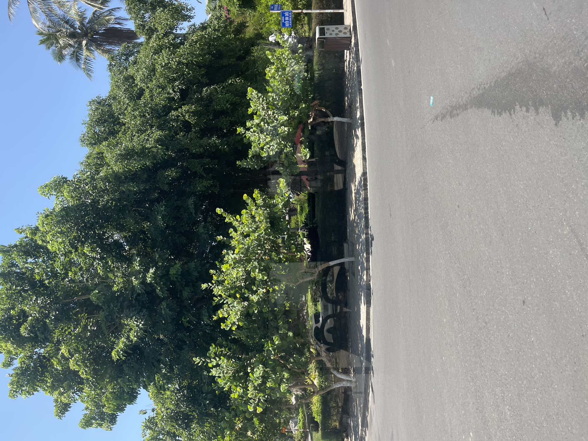 The image depicts a street scene in Nha Trang, Vietnam, likely on a sunny day given the clear blue sky and bright sunlight casting shadows. The foreground is dominated by a grey asphalt road with a distinct shadow extending from the right side, possibly from a vehicle or overhead structure. A small blue and white item, possibly a piece of litter, is visible on the road's surface.
The middle ground shows a paved sidewalk with a low, dark green hedge lining its edge. In front of the hedge, several small, leafy trees with white-painted trunks are planted. Through the translucent surface of what appears to be a bus or car window, the reflections of these trees are visible, overlaid on the scene behind them. Reflected within this surface, one can discern the shapes of cars, possibly including a white vehicle and what appears to be a red vehicle with a red umbrella or awning.
Beyond the sidewalk and trees, a dense backdrop of large, lush green trees fills the upper portion of the image. To the far right, a tall palm tree stands against the sky. A street sign with blue lettering, likely indicating a street name in Vietnamese, is mounted on a pole. Adjacent to the sign is a dark trash receptacle with a decorative pattern.
The overall impression is a well-maintained urban environment with abundant greenery, typical of a tropical or subtropical city like Nha Trang. The presence of the road, sidewalk, and signage confirms it as a public street.