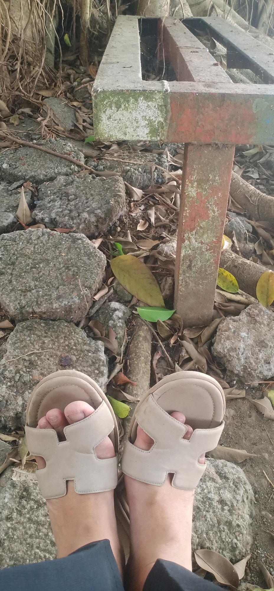 A low-angle close-up shot shows a person's feet wearing light-colored, open-toed sandals. The sandals have a stylized "H" design across the top of the feet. The feet are positioned on rough, grey gravel and scattered with dry leaves. In the background, a weathered metal structure, possibly part of a bench or railing, is visible. The structure appears to be rusted and is partially covered in green moss or lichen. The surrounding area is cluttered with tree roots, more stones, and dry vegetation. The scene suggests an outdoor setting, possibly a park or a natural area. The image lacks any clear identifying features of the city of Bawang, Indonesia.