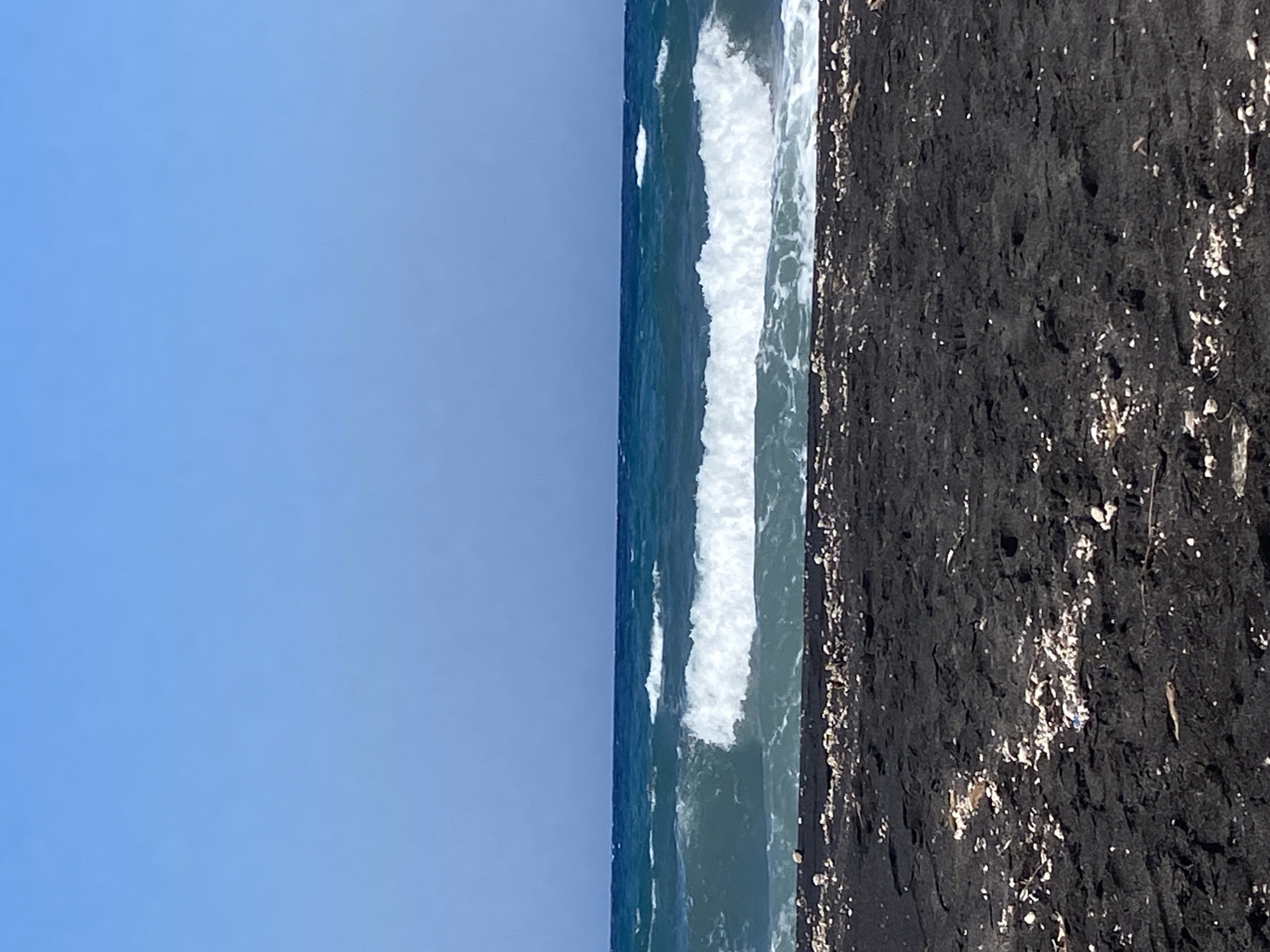 The image depicts a black sand beach with the Aegean Sea and a clear blue sky in the background. Waves are crashing on the shore, creating white foam. The beach is sparsely covered with small white shells and pebbles. The scene is likely located in Thira Municipal Unit, Greece, known for its volcanic beaches. There are no people or specific objects visible besides the natural elements of the environment.