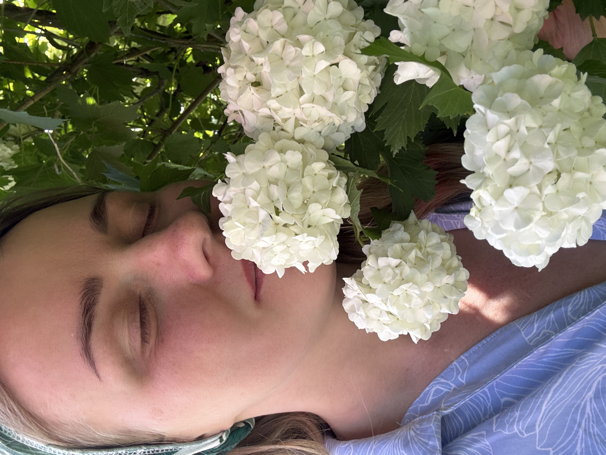 A woman with closed eyes lies in a supine position. Her face is turned slightly to her left. White hydrangea flowers surround her face. The environment appears to be outdoors, likely a garden or park. The woman is wearing a light blue floral patterned shirt. There is no indication of the image's location being Chaikovsky, Russia.