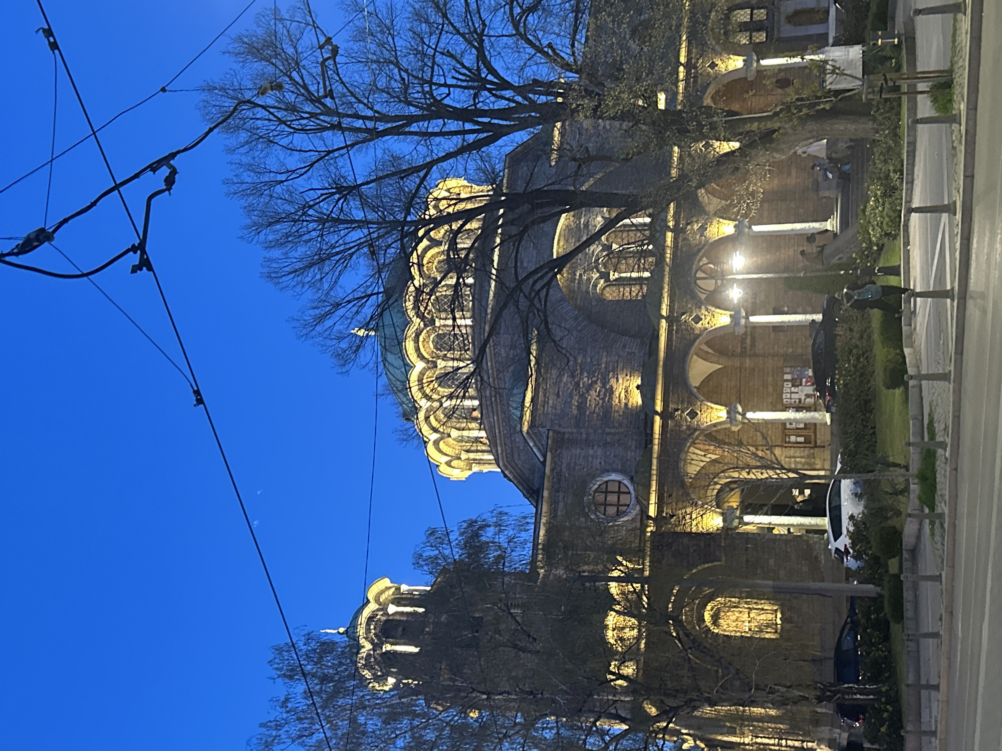 The image depicts the Alexander Nevsky Cathedral in Sofia, Bulgaria at night. The cathedral is illuminated, highlighting its domes, arches, and columns. Bare tree branches are visible in the foreground, partially obscuring the view of the cathedral. Overhead tram lines run across the upper left corner of the frame. A sidewalk and a row of hedges are on the right side, with a few cars parked nearby. People are gathered near the entrance of the cathedral. The sky is a deep blue.