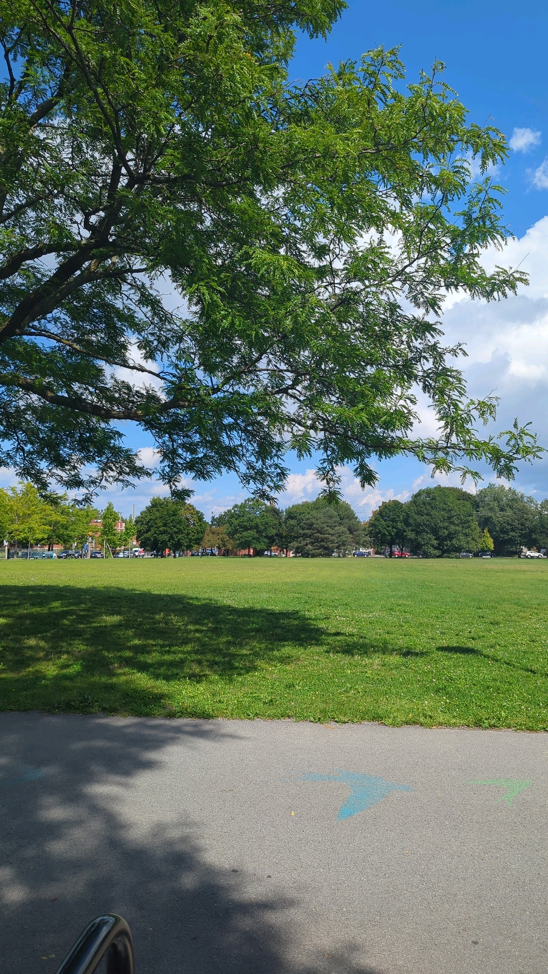 This is a vertical, eye-level, medium shot of a park on a sunny day in Montreal, Canada. The foreground is a grey asphalt path with two painted blue bird silhouettes. To the left of the path, a dark metal object is visible. The path leads to a large, vibrant green lawn that stretches towards a line of diverse trees. The trees are a mix of leafy deciduous and evergreen varieties, with some taller, more mature trees in the background. Beyond the trees, the tops of some buildings are visible, suggesting an urban park setting. The sky is a bright blue with scattered white, fluffy clouds. The sun casts dappled shadows of leaves and branches onto the lawn and the asphalt path. Cars are parked along the edge of the lawn, near the trees.