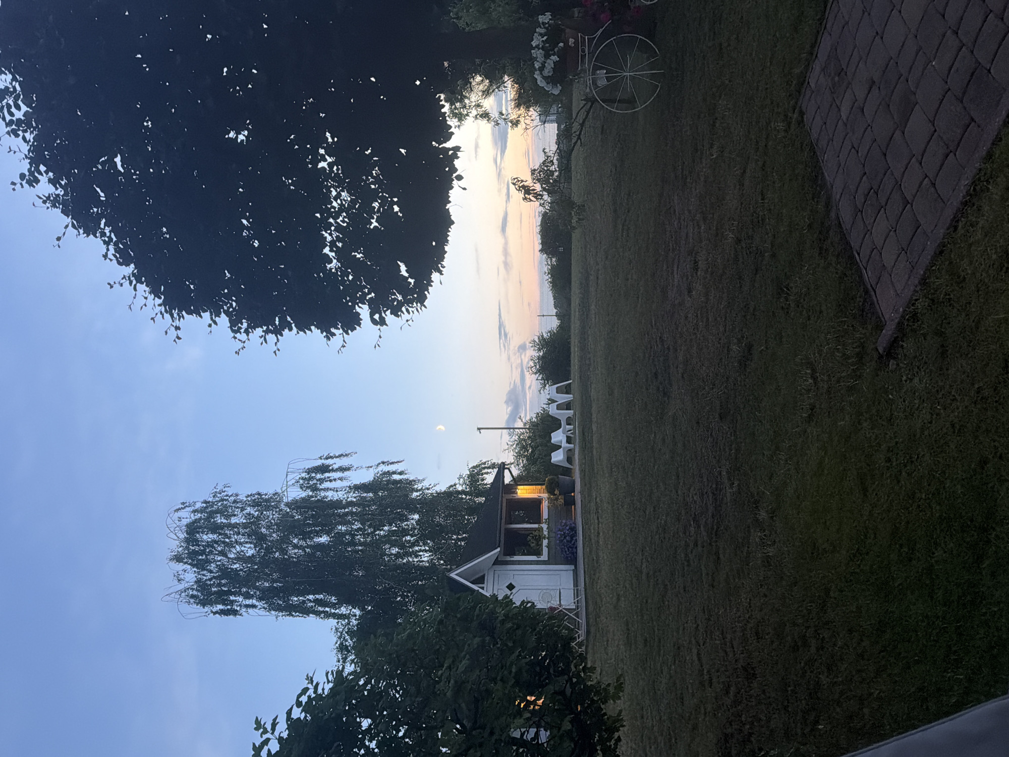 The image depicts a twilight scene in a grassy yard. In the background, a small, white, modern-style shed with large windows is illuminated from within, casting a warm glow. Two white chairs are placed on the paved area in front of the shed. To the left of the shed, a tall, slender birch tree with drooping branches dominates the middle ground. A large, dark-leaved tree is silhouetted on the right side of the frame, partially obscuring the horizon. A decorative white bicycle with a basket filled with white flowers is positioned in the foreground on the right. A crescent moon is visible in the pale blue sky, which transitions to soft hues of pink and orange near the horizon, suggesting a sunset or sunrise. The ground is covered in short, well-maintained grass, and a paved patio area is visible in the bottom right corner. The scene appears tranquil and serene. There are no people visible in the image, and no specific landmarks are identifiable to confirm the location in Międzyzdroje, Poland.