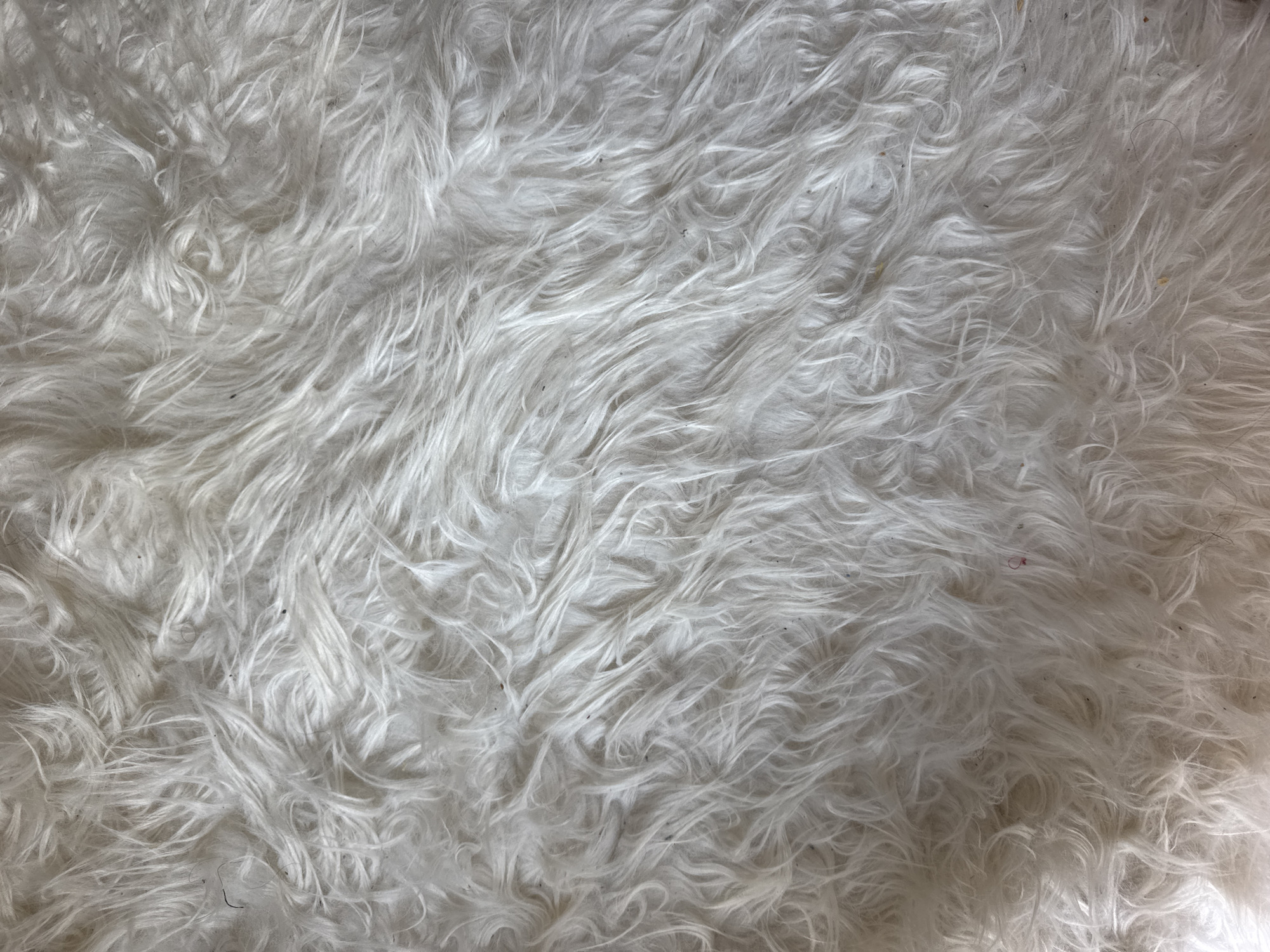 The image shows a close-up, overhead view of a shaggy, white rug. The rug's fibers are long and appear soft, with some areas showing slight discoloration from dust or dirt. The lighting creates shadows that emphasize the texture and depth of the rug. There are no people or other discernible objects in the image. The scene is indoors, given the texture of the rug, but the specific location within Höhenkirchen-Siegertsbrunn, Germany cannot be determined from the visual information provided.
