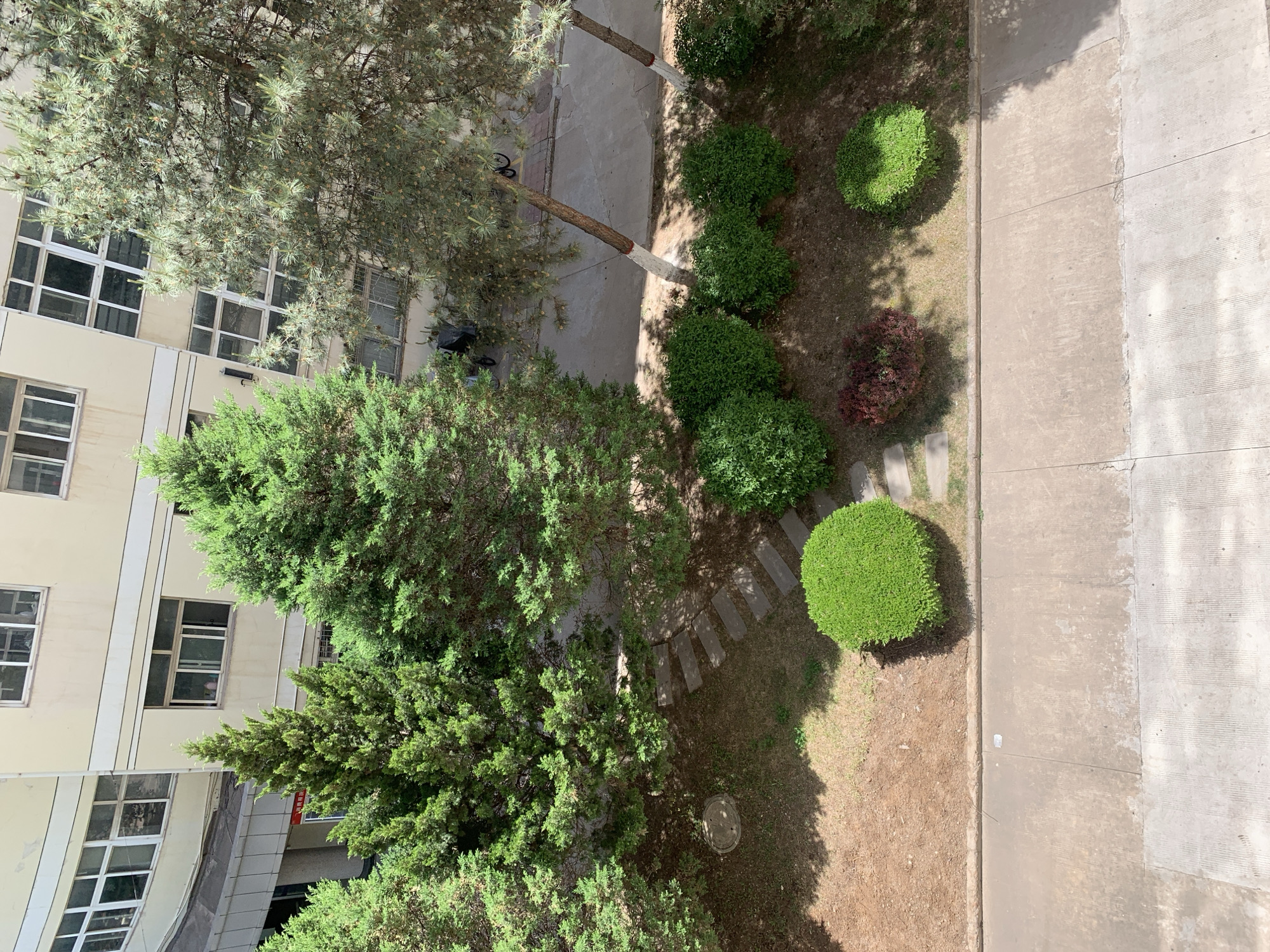 This image shows a view from above of a building and its surrounding outdoor space. The building is light yellow and has multiple floors, each with several rectangular windows. To the right of the building is a garden area with various green bushes and trees. A concrete walkway runs along the right side of the image, separating the garden from a larger paved area. The scene suggests an urban or suburban setting.