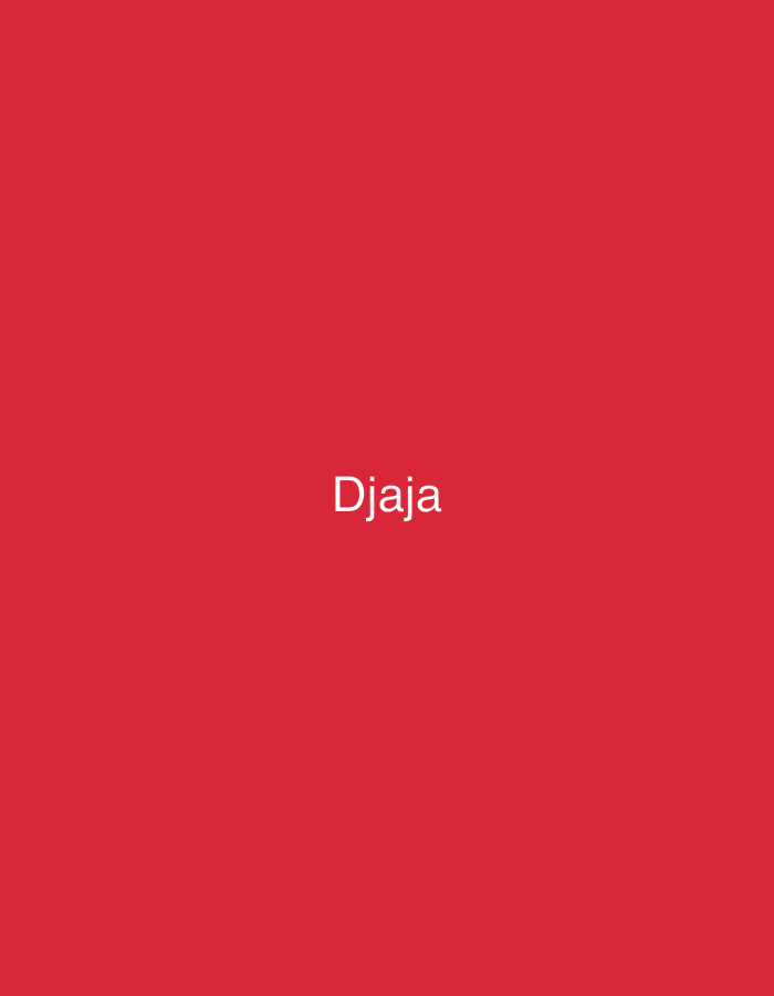 The image displays a solid, vibrant red background. Centered horizontally on this red field, the word "Djaja" is rendered in white, sans-serif typography. There are no discernible people, subjects, objects, actions, interactions, or environmental details present in the image. The image provides no visual information regarding a specific location, including the city of Casablanca, Morocco.