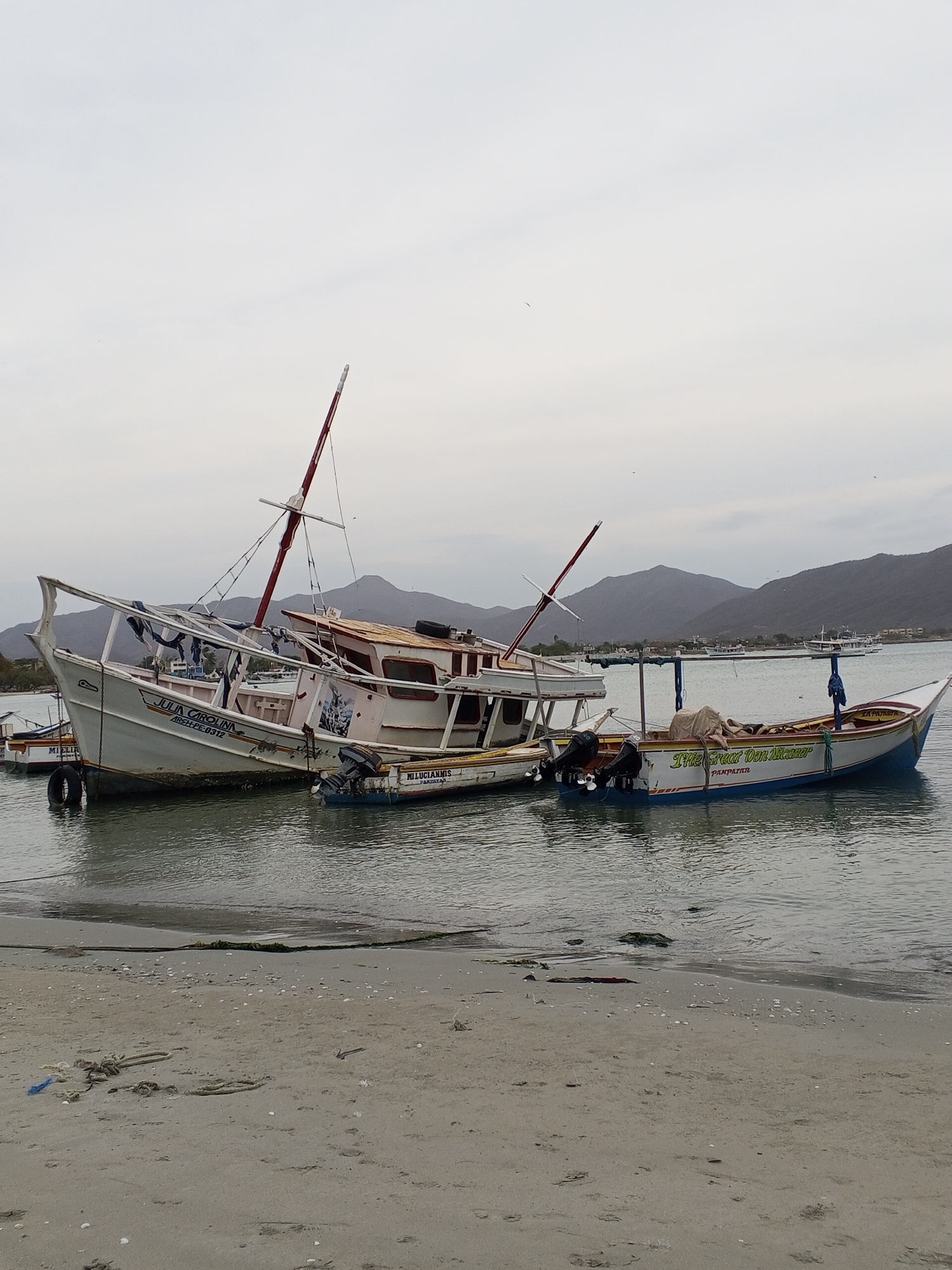 The image depicts a scene at Juan Griego, Venezuela, showcasing several boats docked close to the shore. There are three principal boats visible: the "JULIA CAROLINA", the "MILUCIANNIS", and "The Great Don Nicamer". The "JULIA CAROLINA" appears partially submerged and dilapidated, leaning precariously. Both the "MILUCIANNIS" and "The Great Don Nicamer" seem smaller than the "JULIA CAROLINA", and are anchored closely to each other. In the background, mountains are visible under an overcast sky. The immediate foreground is a sandy beach strewn with debris. The overall environment suggests a harbor with aging or neglected maritime vessels.
