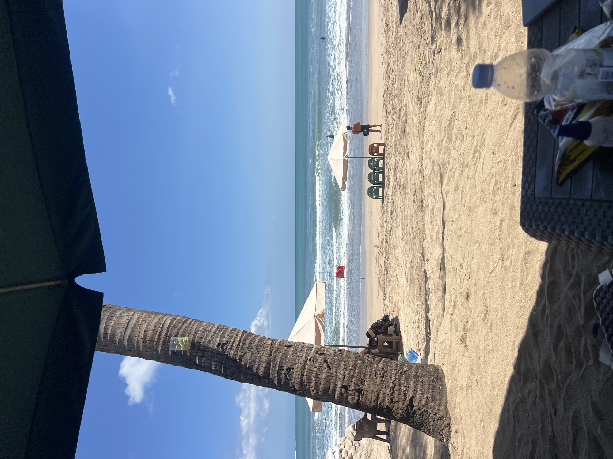 A wide shot captures a sun-drenched beach scene in Kuta, Indonesia, with the turquoise ocean stretching to the horizon under a clear blue sky. In the foreground, a dark green beach umbrella casts a shadow across the sand. To the left, a large palm tree stands tall, with a clear plastic cup containing yellow flowers attached to its trunk. Further down the beach, two beige beach umbrellas are set up, one with a red flag planted in the sand beside it. Several plastic beach chairs are arranged near the umbrellas. A lone person stands under one of the umbrellas, facing the ocean. A few other individuals can be seen in the water, some appearing to be surfing. The sand is clean and lightly rippled, with some sparse debris scattered on it. The scene conveys a relaxed, tropical atmosphere typical of Kuta's popular beaches.