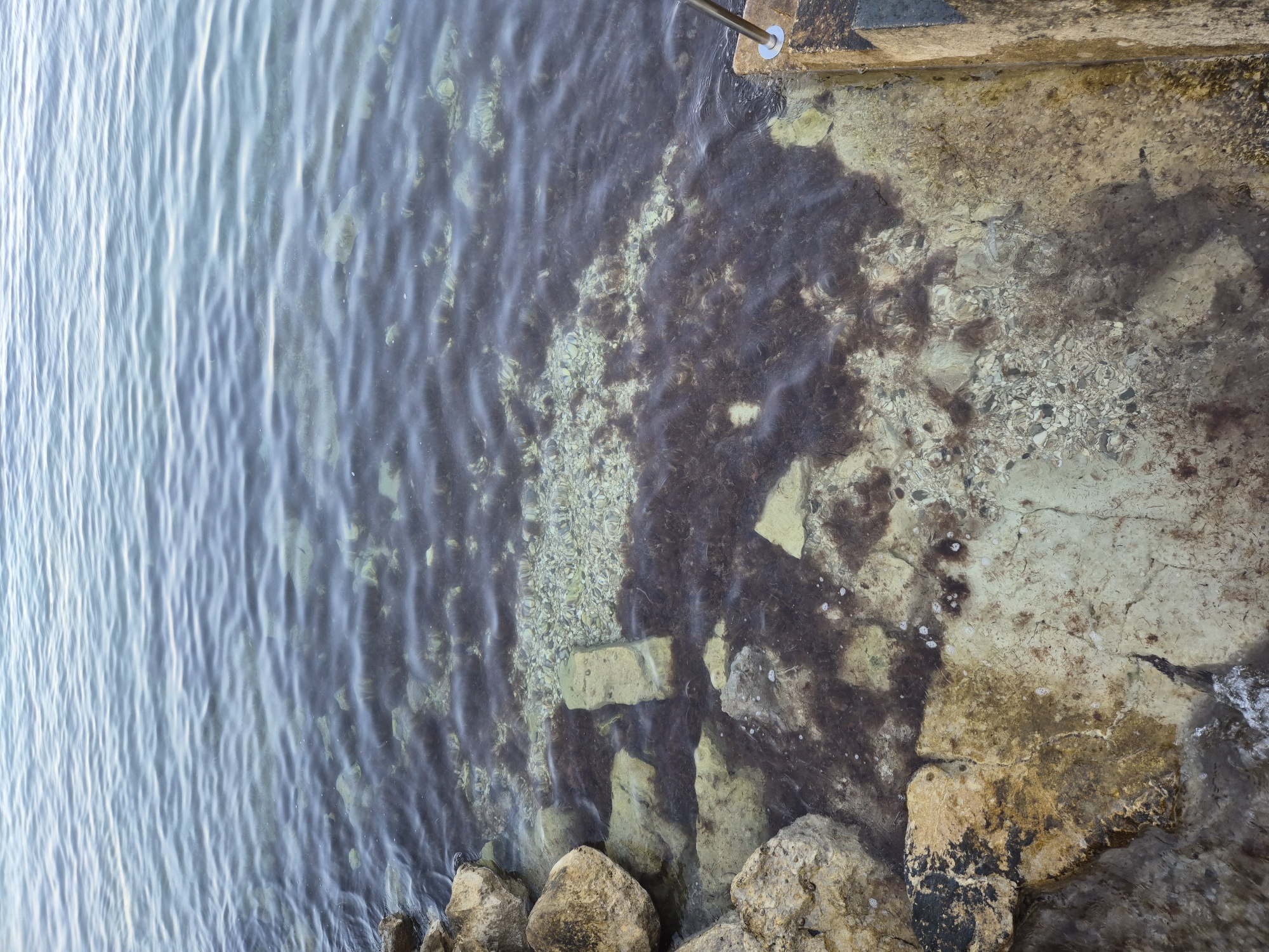 The image depicts a shallow, clear body of water near the shore in Monterol, Croatia. The seabed is visible, covered with small, light-colored pebbles and darker patches of seaweed. Several large, rough, tan-colored rocks are partially submerged along the edge of the water. The water's surface is gently rippled. In the lower right of the frame, a concrete structure, possibly a part of a dock or steps leading into the water, is visible, with a metal handrail. The overall scene suggests a natural coastal environment.