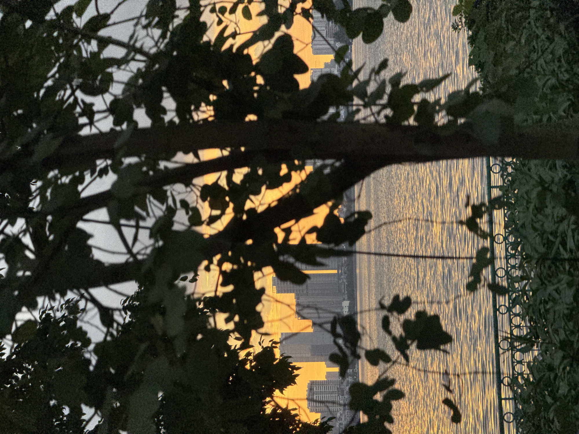 This is a slightly out-of-focus, vertical, eye-level shot of a lake in Hanoi, Vietnam at sunset. The foreground is dominated by the dark silhouettes of tree branches and leaves. In the midground, a body of water reflects the orange and yellow hues of the sunset sky, with gentle ripples suggesting light wind. A decorative metal fence with circular motifs separates the water from the foreground vegetation. Beyond the lake, the skyline of Hanoi is visible, featuring several modern, light-colored high-rise buildings. The overall atmosphere is serene and peaceful.