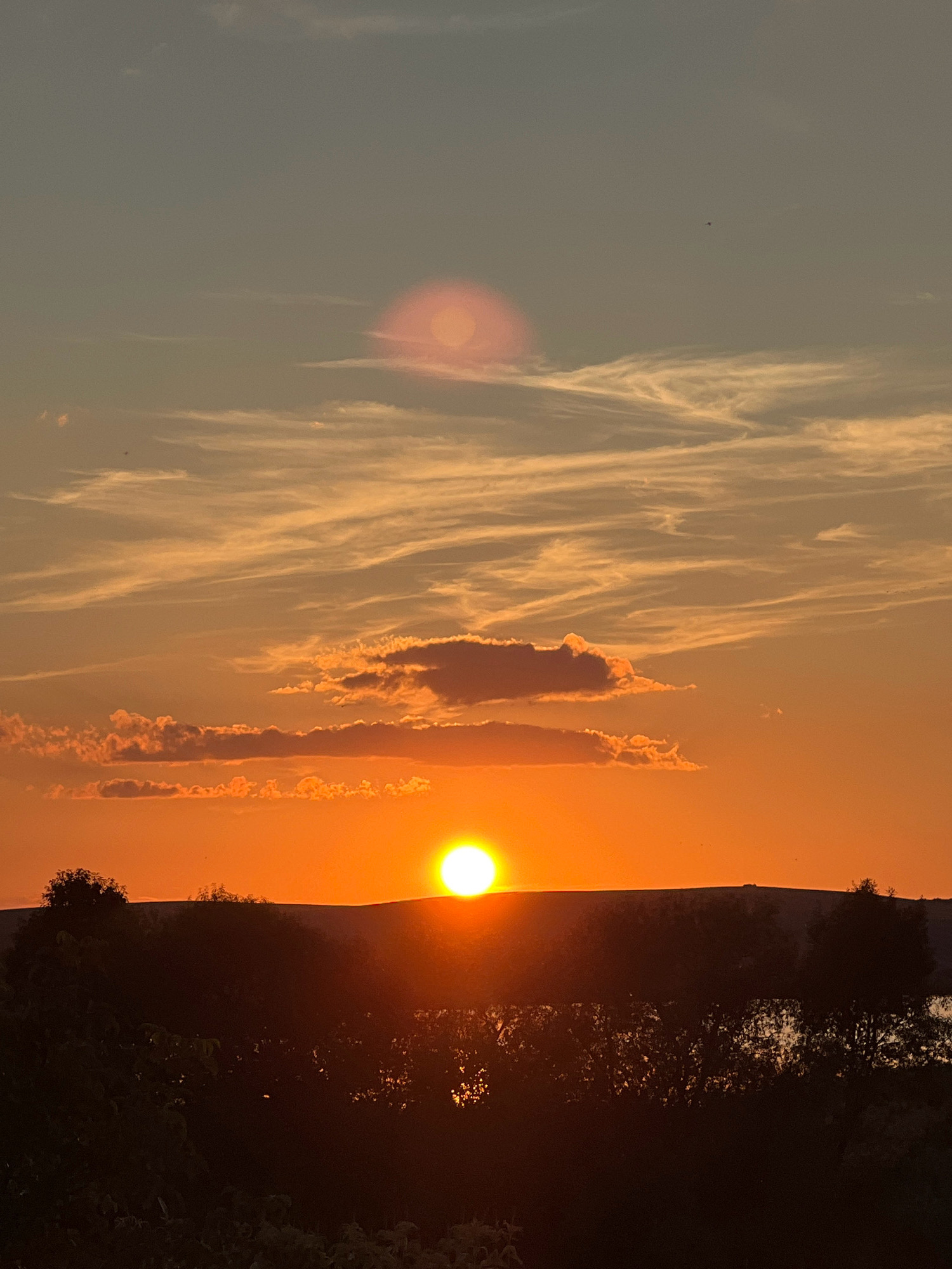 The image captures a sunset over a hilly landscape in Vertelka, Ukraine. The sun, a bright, luminous orb, is positioned low on the horizon, casting a warm orange glow across the sky. Wispy clouds, illuminated by the setting sun, stretch across the upper portion of the frame, gradually fading into a muted gray at the top. The foreground is dominated by a silhouette of dark trees and foliage, obscuring the lower landscape. A gentle slope of land is visible behind the trees, with a faint line of trees on the crest. The overall atmosphere is serene and tranquil, characteristic of a peaceful evening.