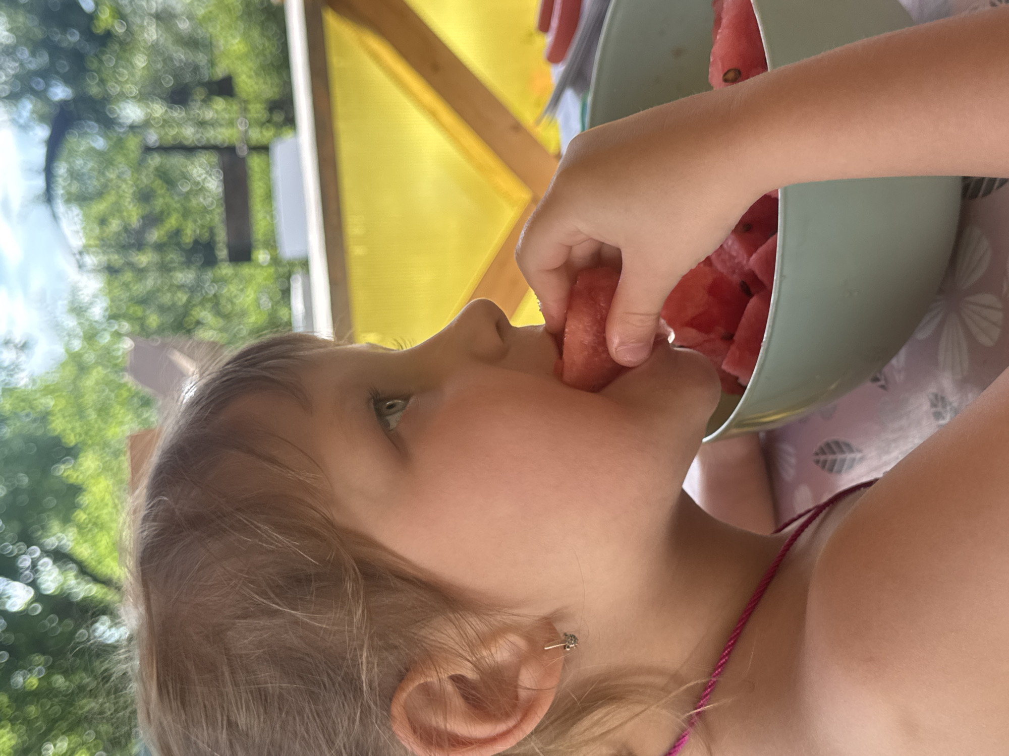 This close-up, eye-level indoor shot, taken in Chaikovsky, Russia, shows a young child from the nose down, holding and eating a piece of watermelon. The child's fair skin and light-colored hair are visible. They are wearing a pink strap top and a small, delicate earring in their right ear. The child’s left hand is visible, holding a piece of bright red watermelon to their mouth.
The watermelon is in a light green bowl, which is partially visible on the right side of the frame. The bowl contains many other pieces of cut watermelon, some with visible seeds.
In the blurred background, there's a hint of an outdoor setting through a window or opening, with green foliage and dappled sunlight, suggesting it's daytime. A yellow structure, possibly part of a tent or awning, is also visible in the upper background.
The image captures a moment of casual enjoyment, with the child focused on eating the fruit. The soft lighting and natural setting contribute to a relaxed atmosphere. There is no visible text in the image.