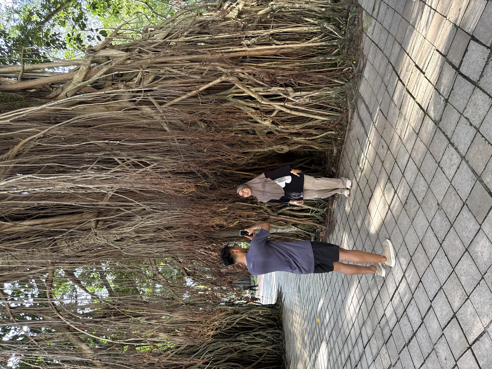 The image shows two people on a paved path next to a dense network of aerial roots, likely those of a large banyan tree. A person in a short-sleeved, dark blue t-shirt and black shorts is standing and holding a smartphone up, apparently taking a picture of another person. The second person, positioned behind the first in relation to the camera, is wearing a hijab, a light brown jacket over a black and white shirt, and tan pants. They are standing within the space created by the aerial roots. The path is constructed of rectangular paving stones, and there are shadows cast across the path, suggesting sunlight. Tree leaves are visible in the upper portion of the image. The location is likely the Kuala Lumpur Lake Gardens, Malaysia, known for its large banyan trees.