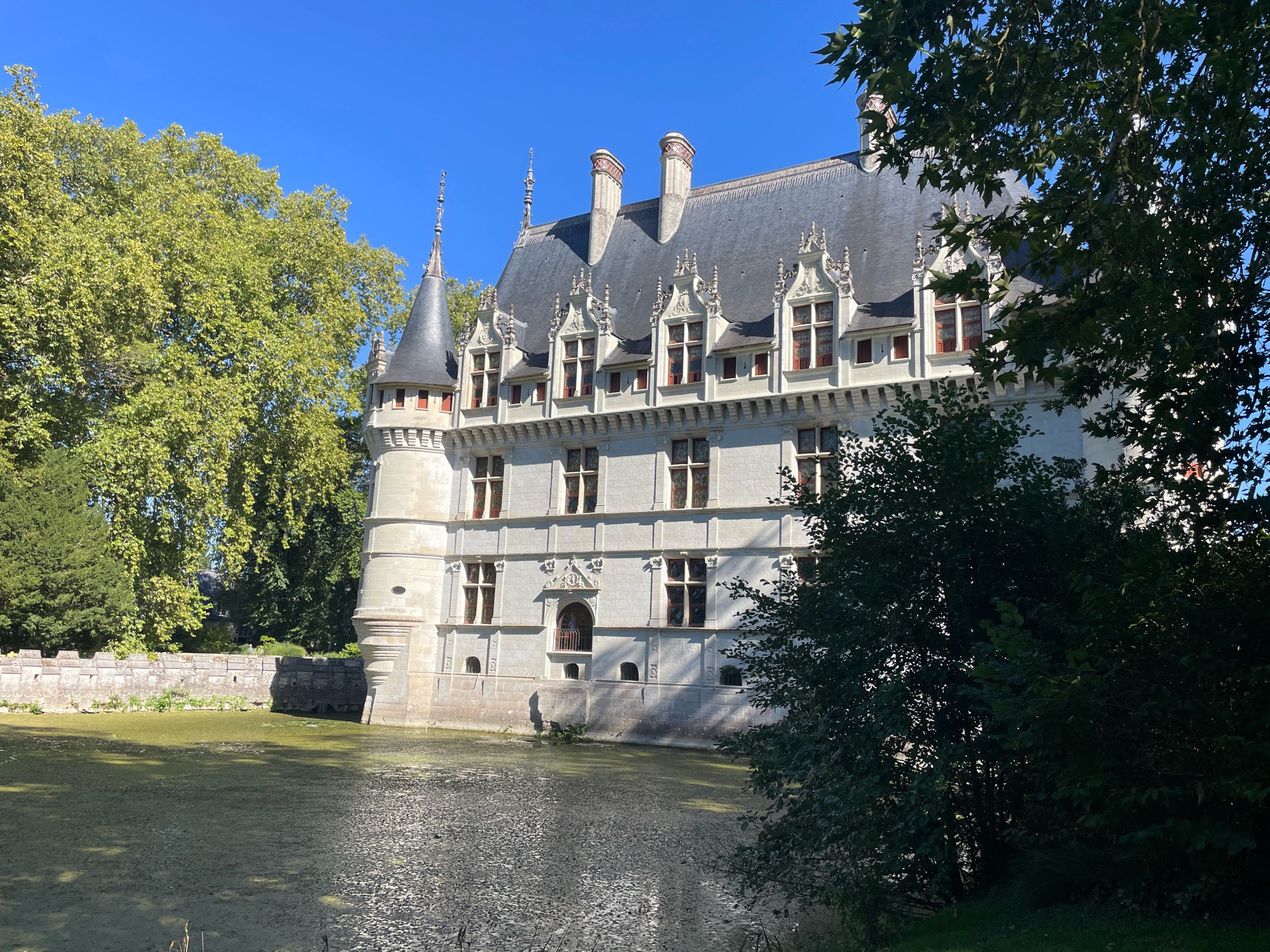 The image shows the Château de la Giraudière in Cheillé, France. The château is a white stone building with a dark grey roof, featuring numerous dormer windows with decorative gables. A conical tower with a pointed spire is visible on the left side of the building. The château is surrounded by a moat, which appears stagnant and covered in green algae. Lush green trees frame the building on the left and right, with a clear blue sky overhead. A stone wall runs along the edge of the moat in the foreground. The scene is bathed in bright sunlight, casting shadows on the château and the water.