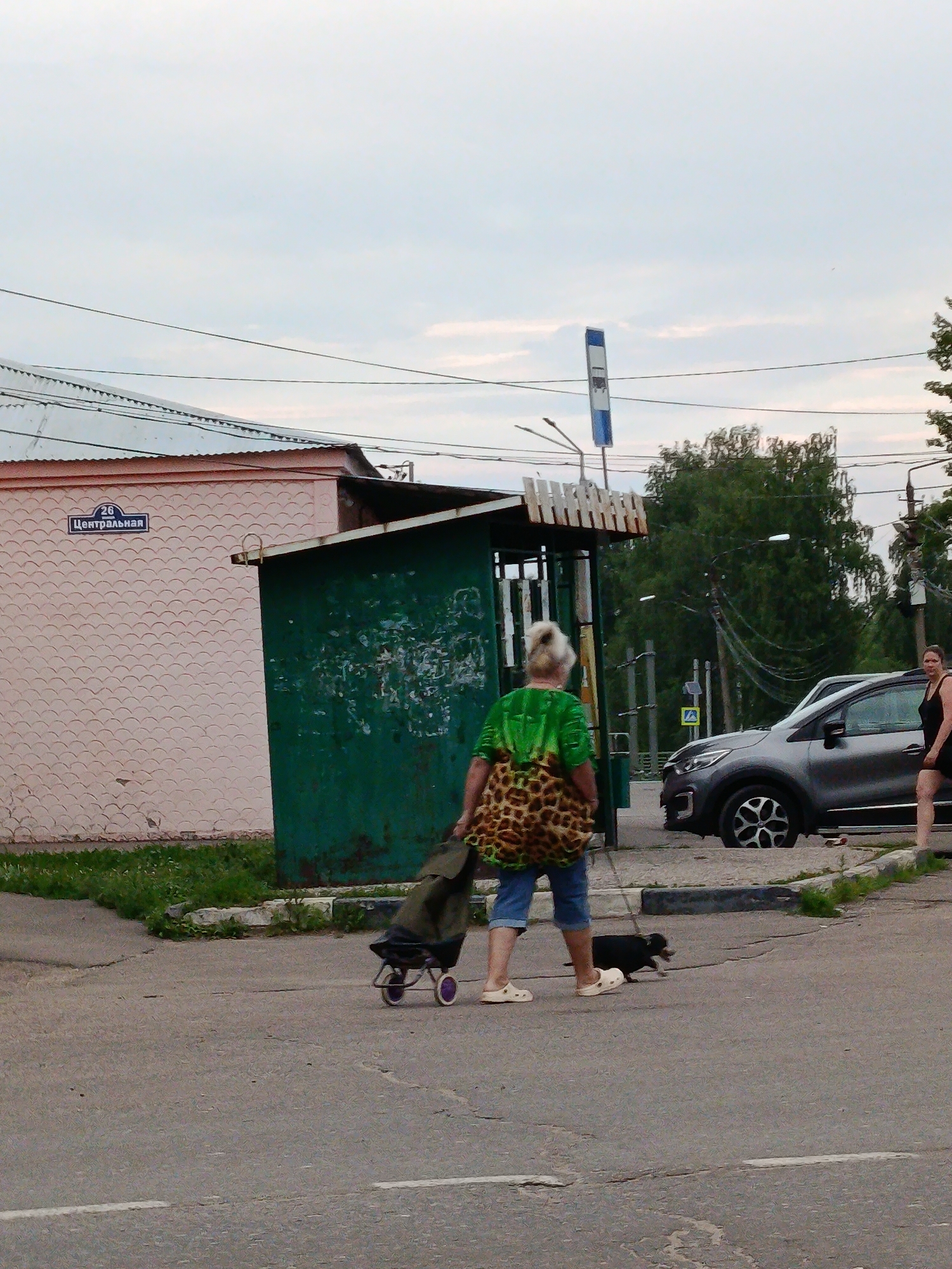In a scene set in Verеya, Russia, a woman walks with a small dog on a leash, pulling a wheeled shopping cart. The woman is wearing a green shirt with a leopard print pattern and blue denim shorts. She has her hair pulled up in a bun. The dog appears to be black and is walking on the pavement. The shopping cart is dark in color and has two wheels.
Behind the woman, a bus stop shelter is visible, with a pink building to its left. On the pink building, a sign displays the number "26" and the word "Центральная" (Centralnaya). A dark green structure, possibly part of the bus stop, stands to the right of the pink building.
In the background, a grey car is parked on the street. Further in the distance, trees line the area, and power lines crisscross the sky. The sky is overcast, suggesting a cloudy or possibly impending rain. A woman in a black dress is standing near the grey car. The overall impression is of a typical day in a residential area, with daily activities unfolding. The time of day is not explicitly indicated, but the lighting suggests it could be late afternoon or early evening. There are no strong emotional cues conveyed, and the scene appears ordinary.