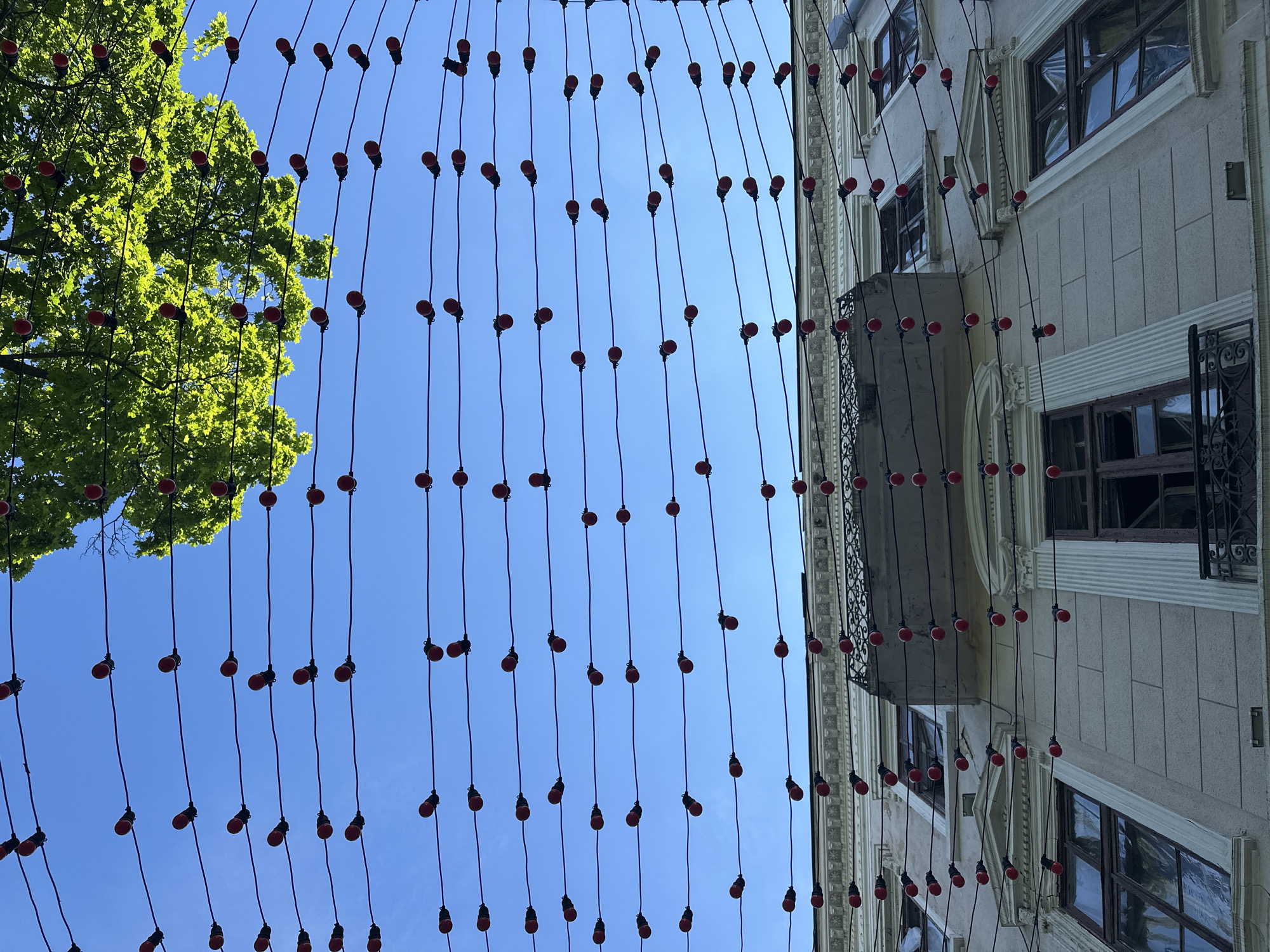The image shows a view looking up at a blue sky with red light bulbs suspended on wires. The wires are arranged in vertical lines, creating a grid-like pattern across the sky. On the left side of the image, there is a green tree with dense foliage. On the right side, there is a building with a white facade and multiple windows. The architectural details of the building, including window frames and a small balcony with intricate metalwork, are visible. The location is an unknown city in Unknown.