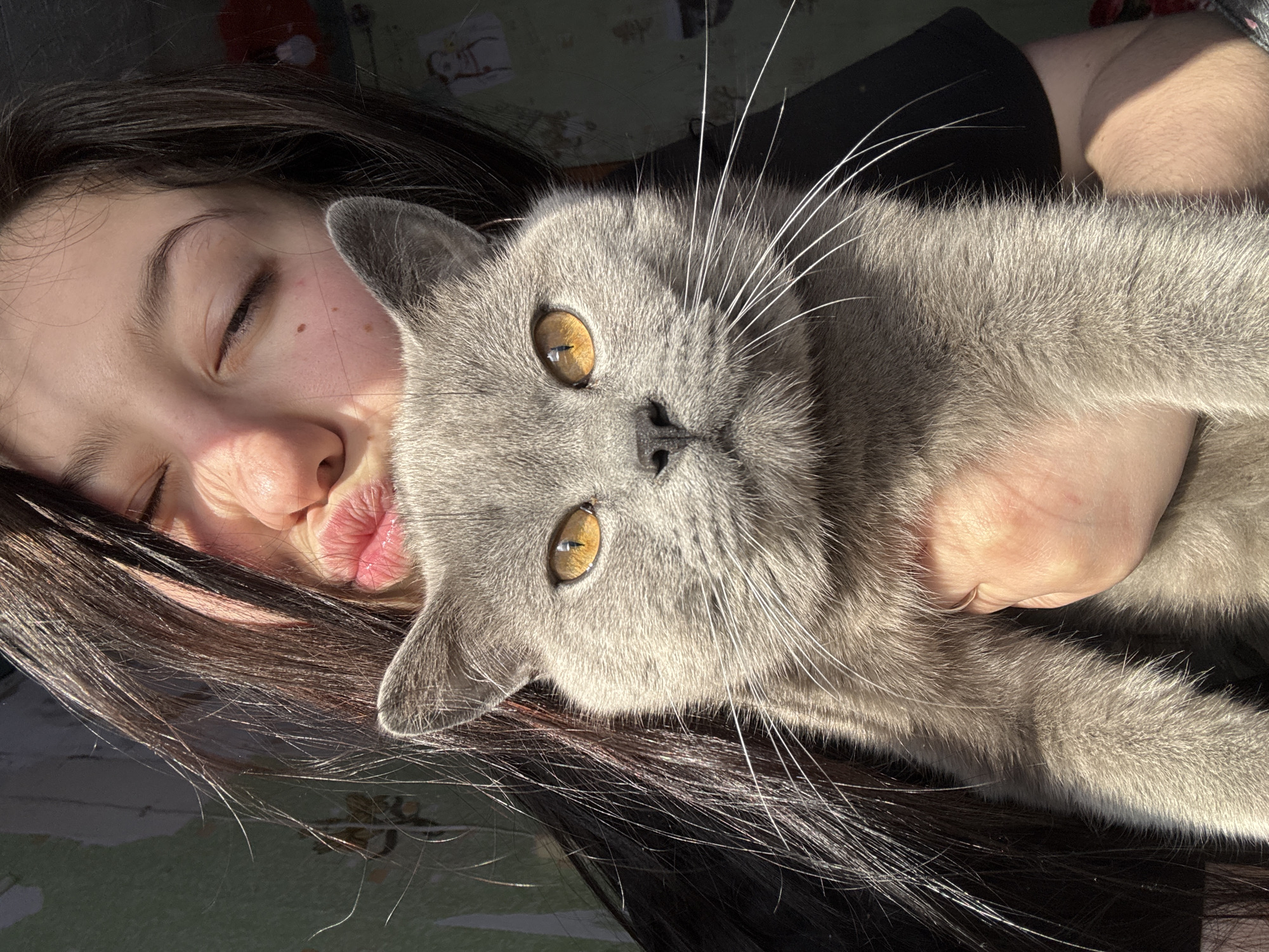 A young woman with dark hair is holding a gray cat in her arms. The woman is closing her eyes and puckering her lips. The cat has golden eyes. The location is not discernible from the image.