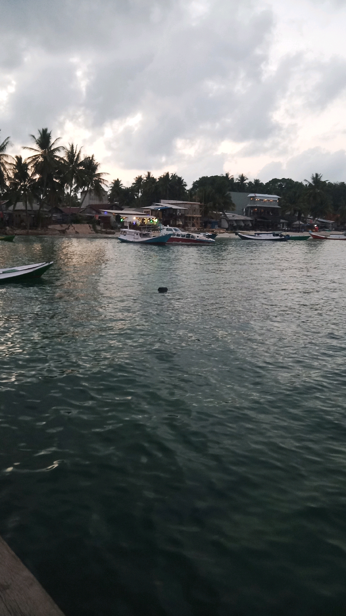The image depicts a waterscape with a shoreline populated by palm trees and buildings. Several boats are moored in the water, some appearing to be passenger vessels with lights illuminated. The sky is overcast with heavy clouds, suggesting a twilight or stormy atmosphere. The water is dark and choppy, reflecting the muted light. A wooden edge is visible in the bottom left corner, indicating the perspective might be from a dock or a boat.