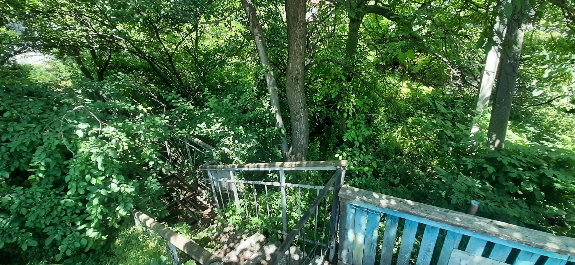 The image depicts an outdoor scene in Yessentukskaya, Russia, focusing on a dilapidated wooden staircase with a metal railing that is partially overgrown with vegetation. The staircase descends into a dense area of green foliage, likely a garden or natural landscape. A weathered wooden railing, painted a faded blue, runs along the right side of the image, contrasting with the unpainted metal railing of the stairs. Sunlight filters through the thick canopy of trees and bushes, creating dappled shadows on the stairs and surrounding greenery. The overall impression is one of neglect and natural reclamation of a man-made structure.