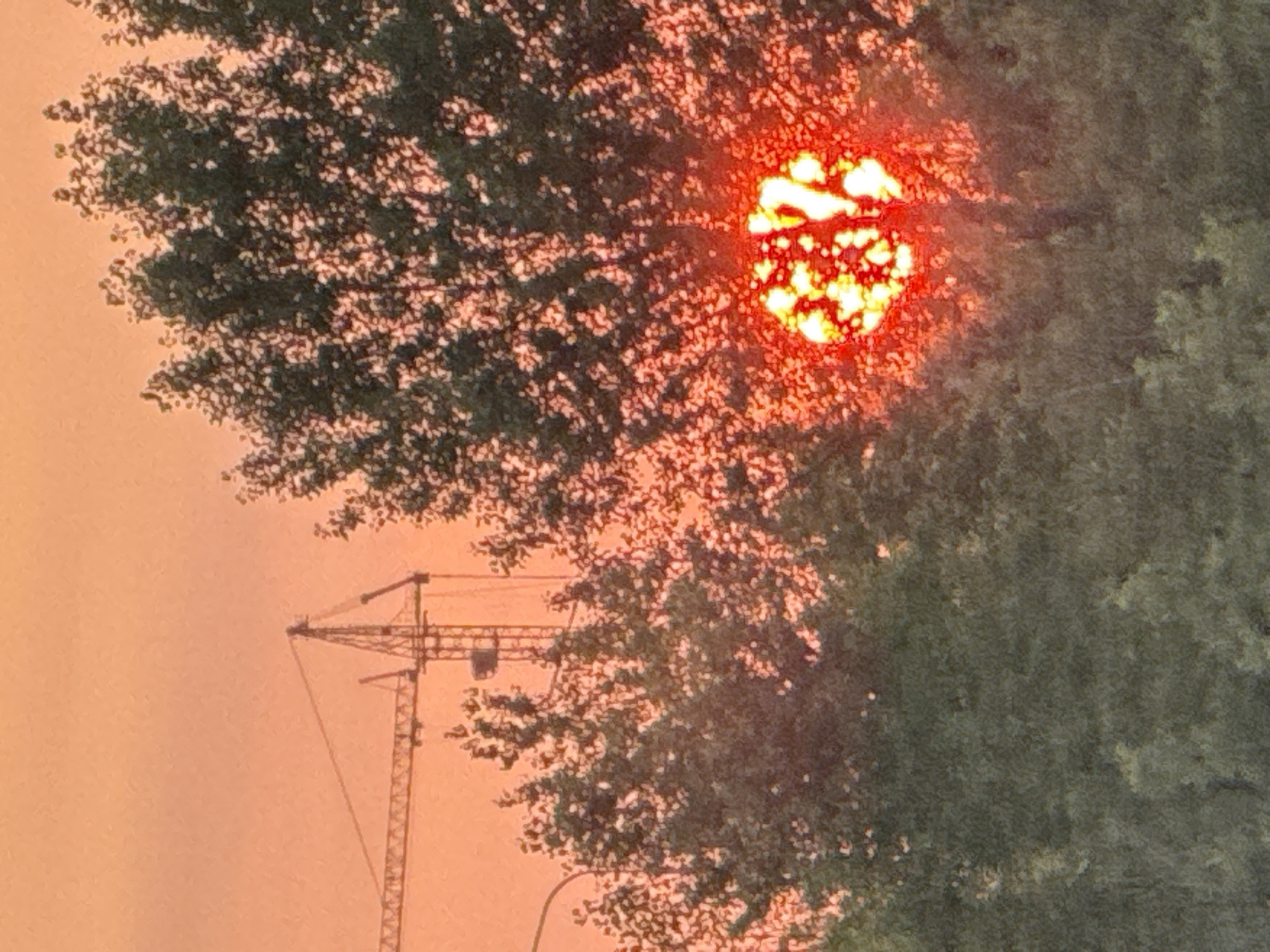 The image captures a sunset in Surgut, Russia, characterized by an orange sky and silhouettes of trees and a construction crane. The sun, a bright red orb, is partially obscured by the foliage of a tree in the foreground. The crane, positioned in the background, suggests ongoing construction or industrial activity in the vicinity. The overall scene depicts an urban landscape at dusk, with nature and human infrastructure coexisting.