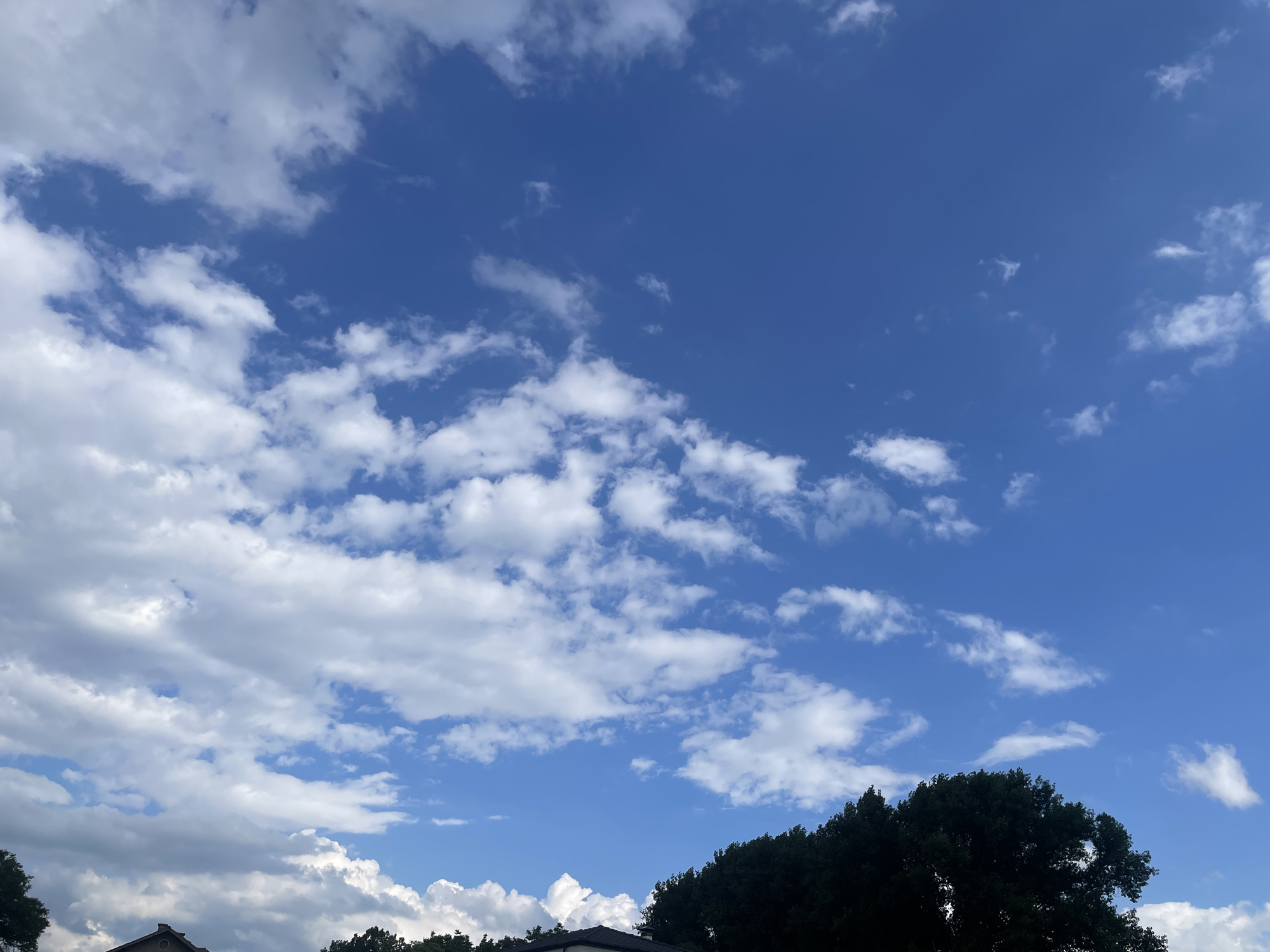 The image displays an outdoor daytime scene characterized by a prominent blue sky with scattered white cumulus clouds. The upper two-thirds of the frame are dominated by the sky, which transitions from a deeper blue towards the top right to a slightly lighter blue near the horizon. White, fluffy clouds of varying sizes and densities are distributed across the sky, with larger, more consolidated formations on the left side and smaller, more isolated clouds on the right. The lower third of the image reveals the dark green canopy of trees and the roofs of buildings. On the bottom left, the top of a dark-tiled roof structure, possibly a residential building, is visible, partially obscured by trees. Towards the bottom right, additional dark tree canopies and another segment of a dark-colored roof are present. No people or specific actions are discernible. The environment appears to be a settled area with vegetation and structures, consistent with a suburban or green urban landscape. The precise location within the city of Sofia, Bulgaria, cannot be determined from the visual information provided in the image.