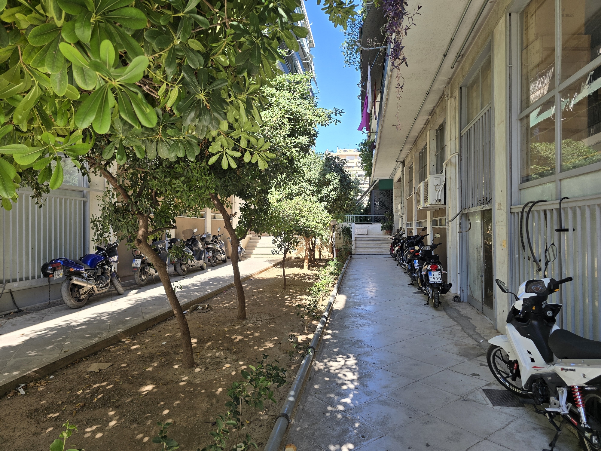 The image depicts a street scene in Athens, Greece, likely on a sunny day, with buildings and parked motorcycles. On the left, a row of motorcycles is parked along a sidewalk adjacent to a building with a light-colored facade and a metal fence. A blue motorcycle with a visible license plate is prominently featured. A tree with dense green foliage is situated in the foreground on the left, casting dappled shadows on the ground. The sidewalk is paved with large square tiles.
To the right, another line of motorcycles is parked along the side of a building. This building has a light-colored facade, large windows, and what appear to be air conditioning units mounted on the exterior. A white motorcycle is parked closest to the viewer on the right. Purple flowering vines hang from the upper edge of the building on the right. In the background, more buildings and trees are visible, along with a bright blue sky. The ground is covered with loose soil and some dry leaves, indicating a somewhat unkempt area. There is a gray pipe running along the edge of the paved area.