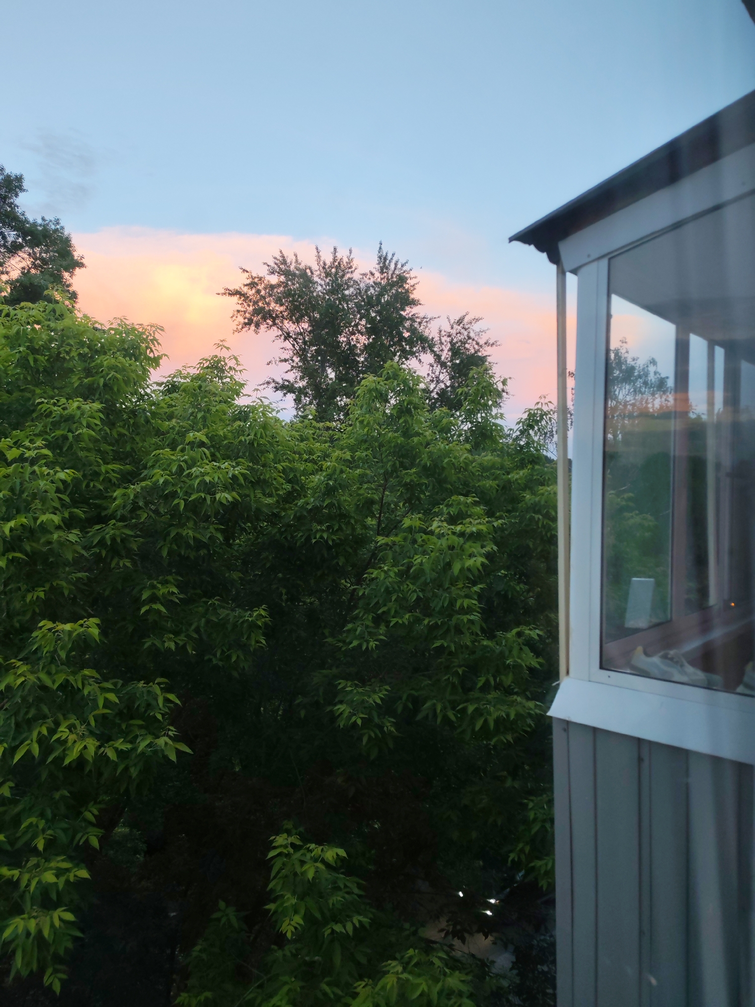 This image captures a serene outdoor scene, likely viewed from a window or an enclosed balcony. The primary subjects are the sky, a dense canopy of green trees, and a section of a building structure.
The upper part of the image is dominated by a clear sky, transitioning from a light blue at the top to vibrant hues of pink, orange, and soft yellow closer to the horizon, strongly suggesting either sunrise or sunset. Below the colorful sky, a thick cluster of deciduous trees with lush green foliage fills the left and central areas of the frame. The leaves appear vibrant and healthy, creating a dense green wall.
On the right side of the image, a segment of a building is visible. It features a light grey, vertically paneled exterior wall in its lower section. Above this, there is a large windowed enclosure, possibly an enclosed balcony or a bay window, with white frames. The glass panels of this window reflect the bright, colorful sky and the surrounding trees. Inside the window, faint, indistinct shapes, potentially objects like shoes or other household items, can be vaguely discerned through the reflections.
There are no people visible in the image. The scene conveys a tranquil atmosphere, blending natural beauty with urban elements. The time of day is clearly either early morning or late evening due to the dramatic sky colors. The context places this scene in Izhevsk, Russia. No visible text is present in the image.