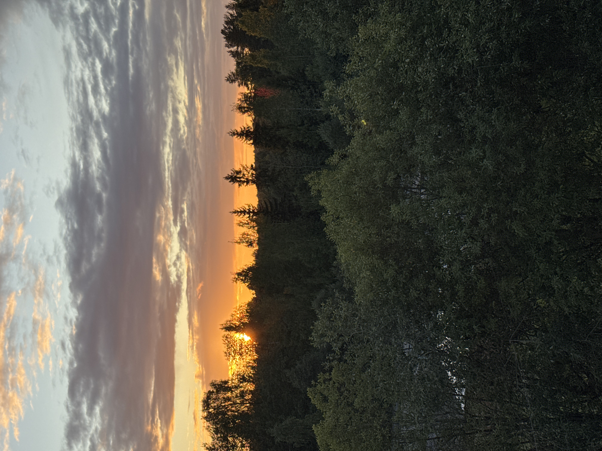 The image shows a sunset over a forested area. The sky is a mix of orange, yellow, and grey clouds. The sun is visible as a bright orb peeking through the trees. The foreground is dominated by dark green foliage, likely trees and bushes. The scene appears to be a natural landscape, possibly on the outskirts of a settlement. The presence of trees suggests a rural or semi-rural environment. There are no people or visible structures in the frame.