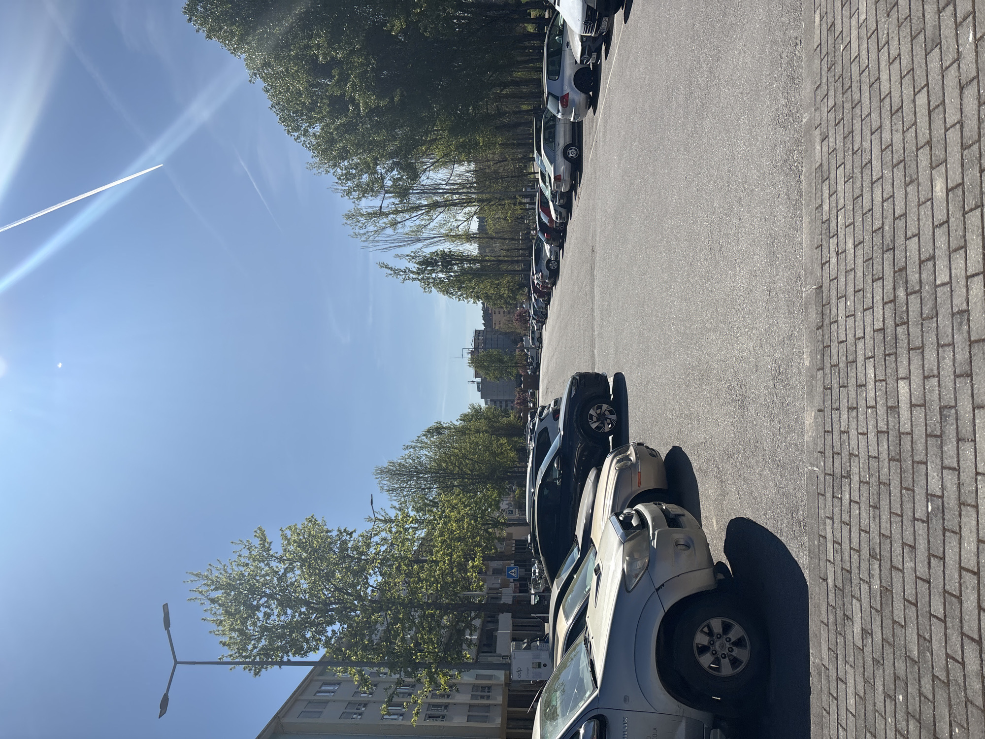 The image depicts a street scene in Mirandela, Portugal. A row of parked cars lines the right side of the frame, adjacent to a brick-paved sidewalk. A wider asphalt road stretches further into the distance, also occupied by more parked cars on both sides, receding towards the skyline. Trees line the street, partially obscuring the buildings in the background. Above, a clear blue sky with a visible contrail is present. A street lamp stands near the lower left corner. No people are distinctly visible in the scene.