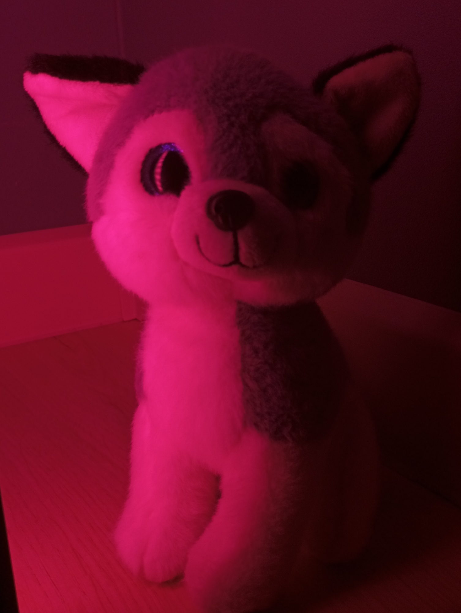 A stuffed husky toy sits on a wooden surface in a room illuminated by red light. The toy has gray and white fur, with black trim around the ears. The toy is facing forward and appears to be smiling. The background is a blurred gray wall. The location in Pervomaysky, Russia is not discernible from the image.