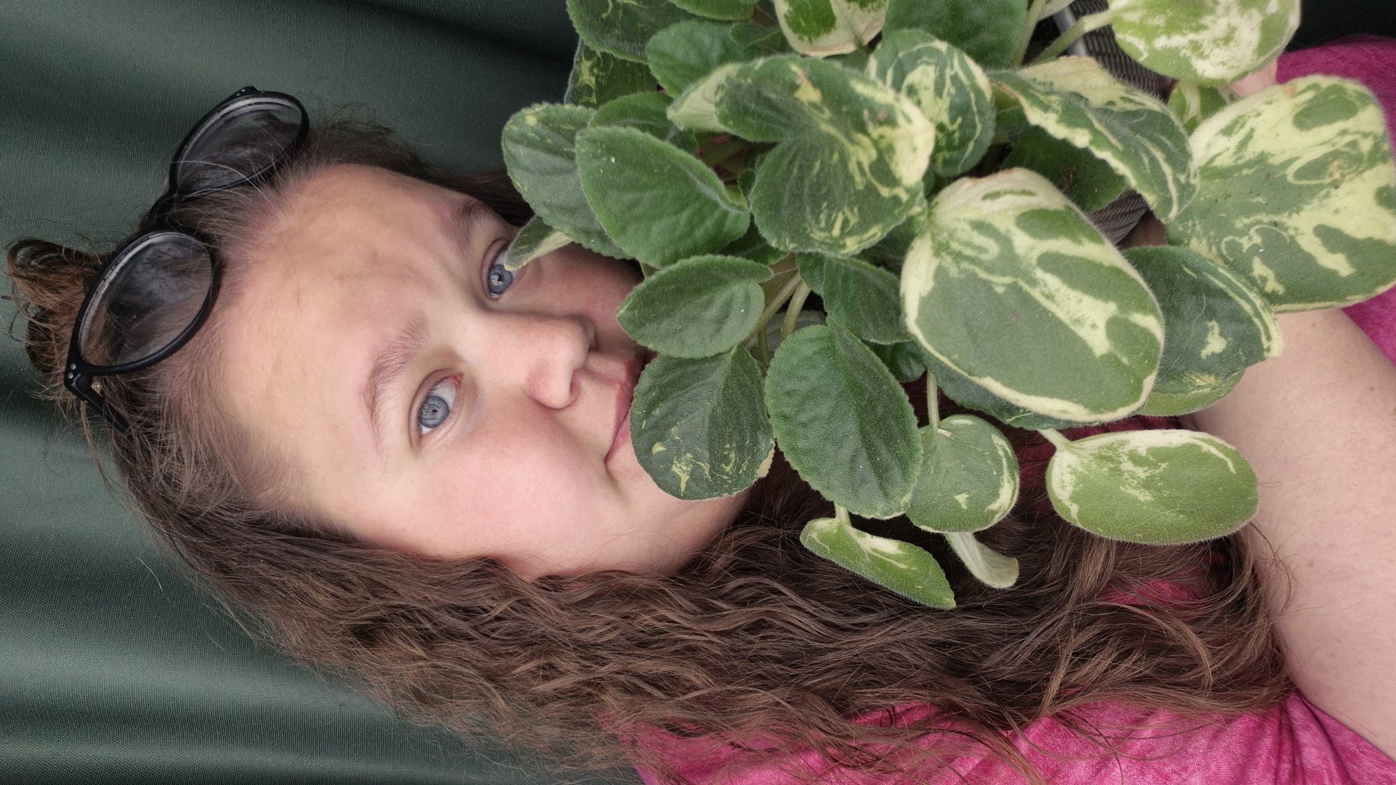 A woman with fair skin and blue eyes is pictured holding a variegated African violet plant. She has curly brown hair and black-rimmed glasses are resting on her head. She is wearing a pink top. The background is a green draped fabric. The location is not discernible from the image. There is no evidence to suggest the picture was taken in Chaikovsky, Russia.