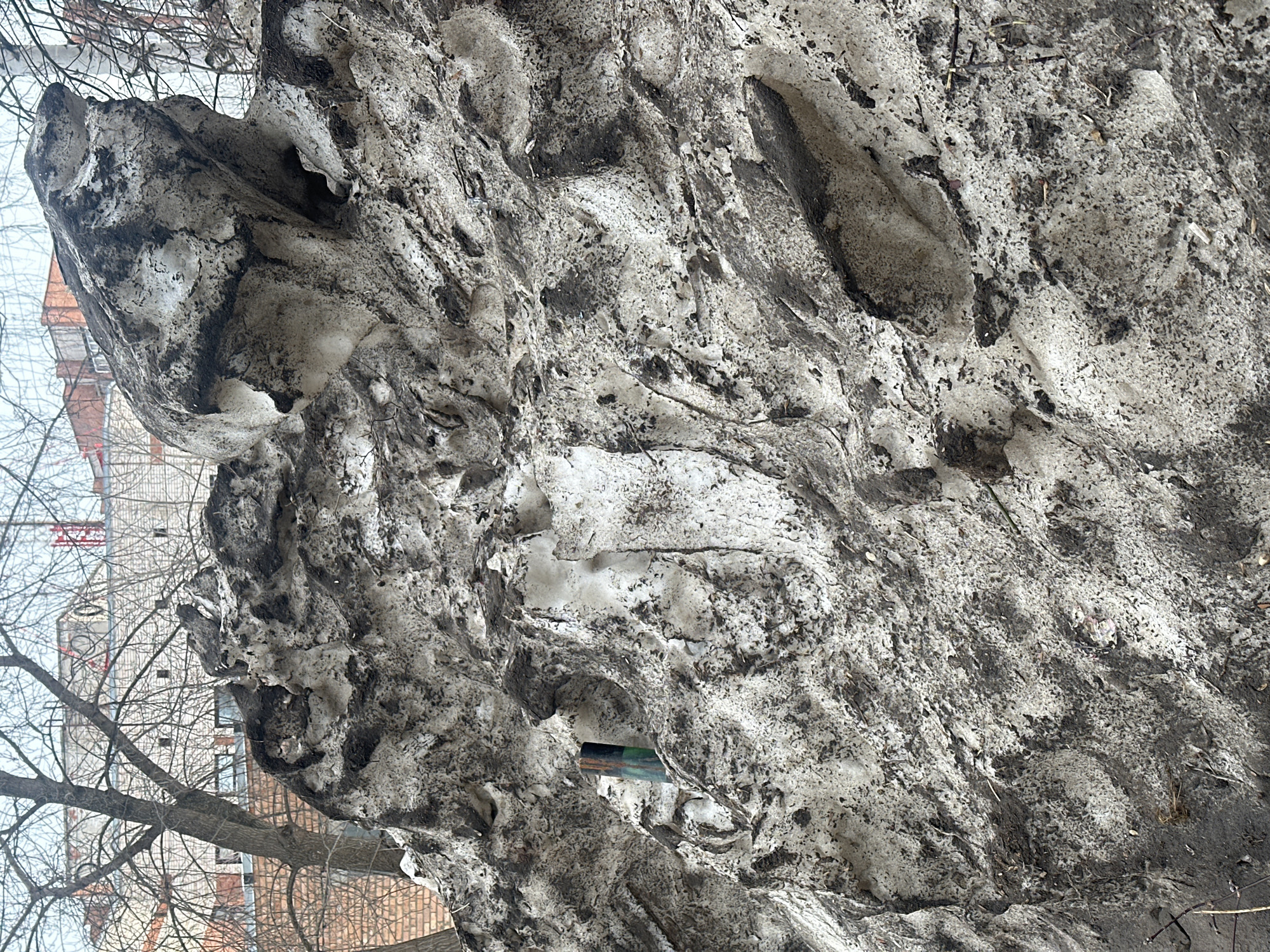 An outdoor scene in Votkinsk, Russia, depicts a large, irregularly shaped mound of dirty, melting snow dominating the foreground and midground. The snow is heavily contaminated with dark gray and black dirt, debris, and traces of brown foliage, exhibiting a pockmarked, uneven, and eroded surface characteristic of thawing conditions. A cylindrical object, dark green to blue in hue, is partially embedded vertically in the upper-left quadrant of the snow mound. In the background, visible through the bare branches of leafless deciduous trees, are multiple multi-story brick buildings, some featuring lighter-colored upper sections and visible windows. One building displays a red, industrial-like structure on its roofline. The sky above is a pale, overcast gray. No individuals or specific actions are depicted in the scene.