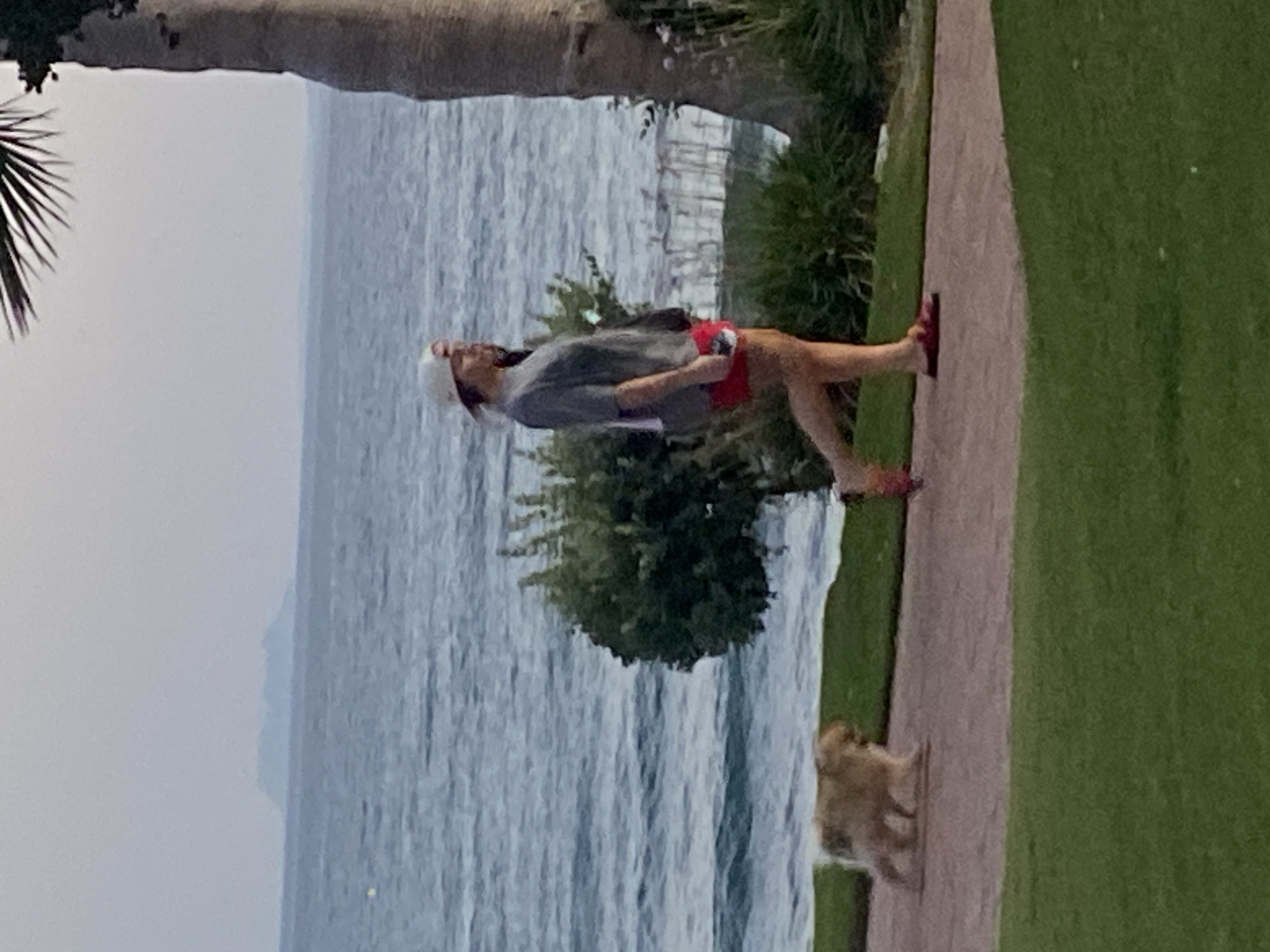 The image captures a blurry, daylight scene at the beachfront of Estepona, Spain, likely during a hazy or overcast day. In the mid-ground, a small, light-colored dog with fluffy fur walks on a paved path that runs along the coastline. The dog appears to be moving from left to right. Further to the right, a person wearing a grey t-shirt, red shorts, and a light-colored baseball cap is walking in the same direction, with their back mostly to the camera. They are holding a red object, possibly a phone, in their right hand. A second, partially obscured person is walking behind the first. The background consists of the calm, greyish-blue sea, with a distant, hazy landmass visible on the horizon. Lush green grass lines the foreground and the area around the paved path. A large palm tree trunk is visible on the far right, with its fronds extending into the top of the frame. A dense green bush is situated between the dog and the people.