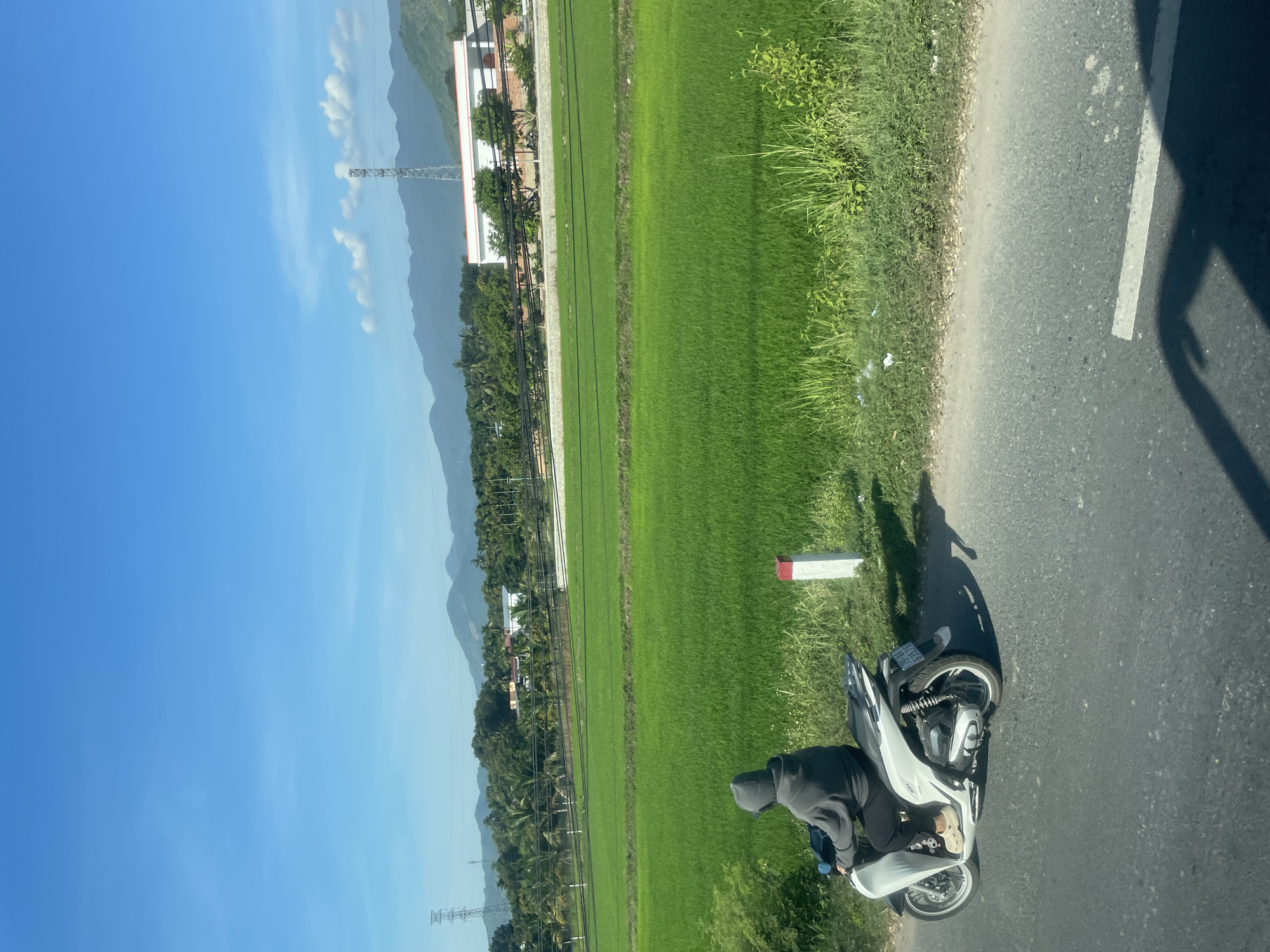 A person wearing a grey hooded sweatshirt and black pants rides a white scooter along a paved road. The scooter has a license plate with the markings "79-X1 655.70". The person is in the left portion of the image, facing away from the camera. To the right of the road is a vibrant green rice paddy. Beyond the paddy, there are trees and some buildings, including a white building with a red trim and a tall metal transmission tower in the distance. The sky is a clear, bright blue with a few wispy clouds. Mountains form a backdrop to the scene. The overall impression is a rural landscape under a sunny sky.
