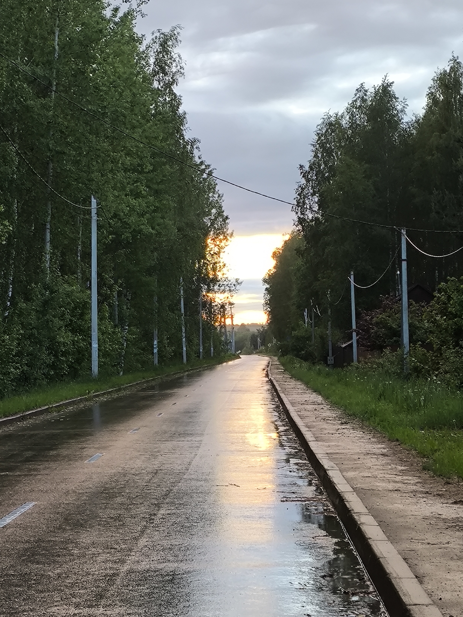 The image depicts a wet asphalt road in Новоникольское, Russia, flanked by green trees on both sides. The road surface reflects the light, indicating recent rainfall. Gray, overcast skies are visible above. Utility poles line the side of the road, with power lines connecting them. A concrete sidewalk runs along the road's edge, adjacent to the vegetation. No people are visible.