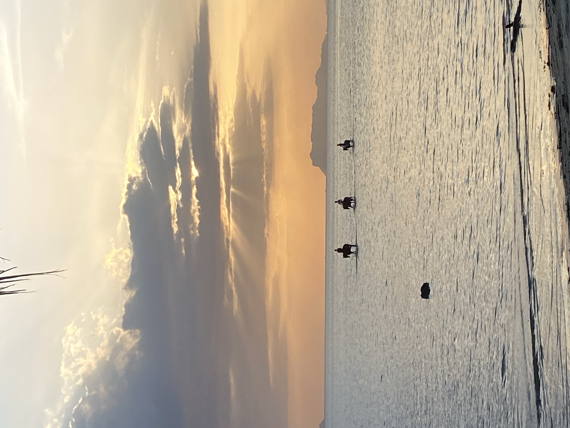 The image depicts a tranquil sunset scene on the coast of Ko Samui District, Thailand. The sky is a gradient of soft orange and yellow, with dramatic clouds casting rays of light. Three individuals are seen horseback riding in the shallow ocean water, their figures silhouetted against the glowing horizon. A distant island can be seen on the horizon. The foreground shows a sandy beach with a piece of driftwood.