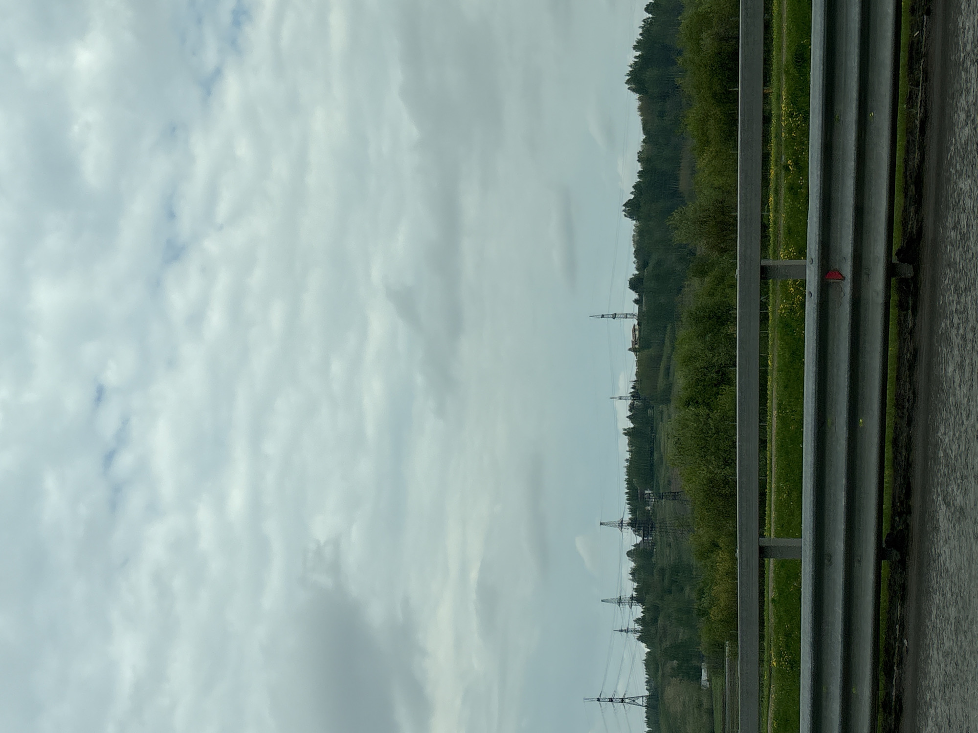 The image shows a view from a roadside, likely taken from a moving vehicle on a highway in Poroshkino, Russia. A metal guardrail runs along the right edge of the frame, suggesting a road or bridge. Beyond the guardrail, there is a grassy field with occasional yellow flowers, leading to a treeline with dense foliage. Several electrical transmission towers are visible in the distance, connecting to power lines that stretch across the landscape. The sky is overcast with a dense layer of grey and white clouds, indicating a cloudy or possibly rainy day. There are no people visible in the image.