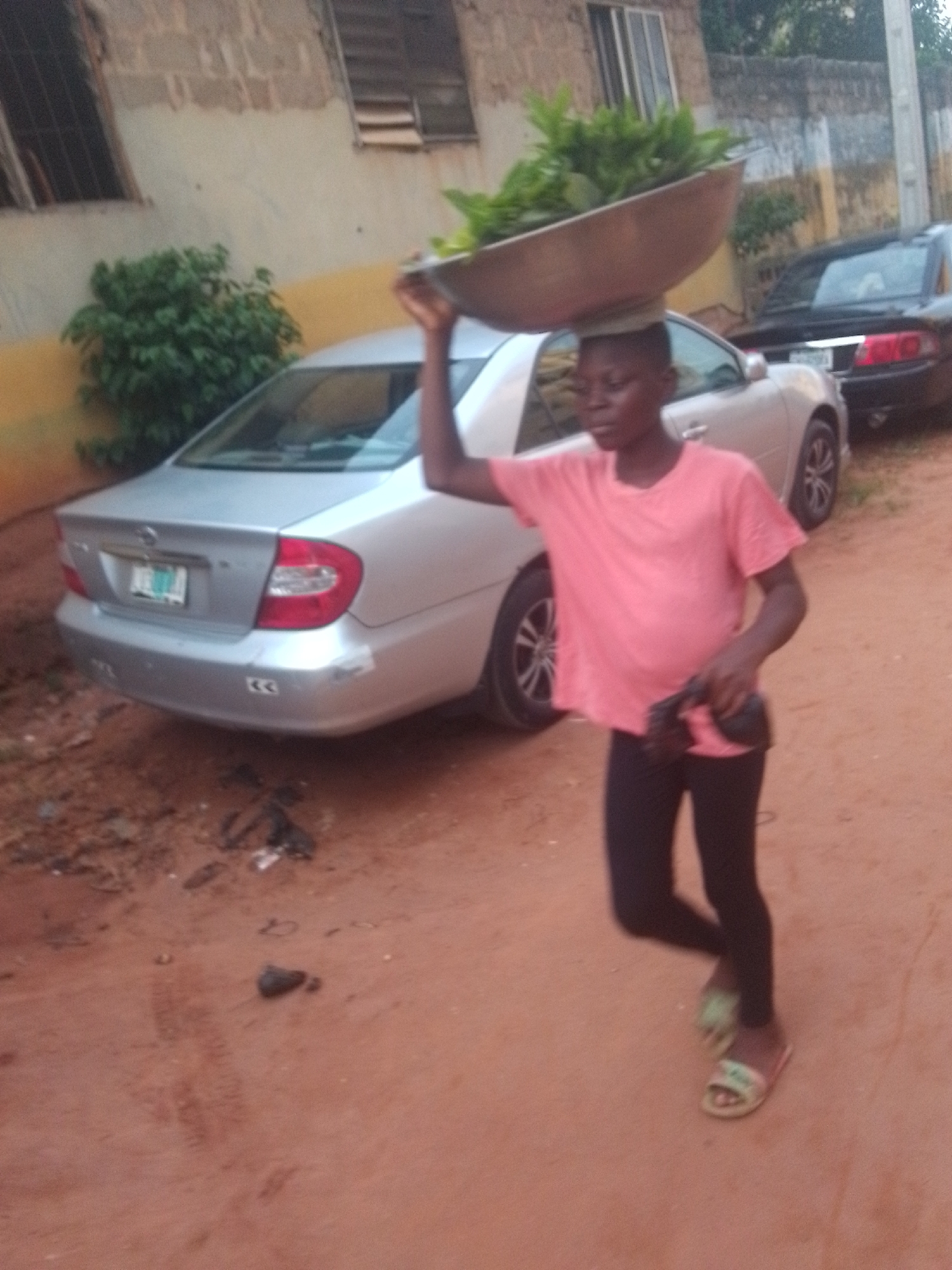 A person is carrying a large, shallow metal bowl filled with green leafy vegetables on their head. The person is wearing a salmon-colored t-shirt, black leggings, and light-colored sandals. The person is walking along a dirt path. Behind the person is a silver-colored sedan and a dark-colored sedan parked near a building with windows and a green bush. The location is Nkpor, Nigeria, based on visual cues and the presence of foliage.
