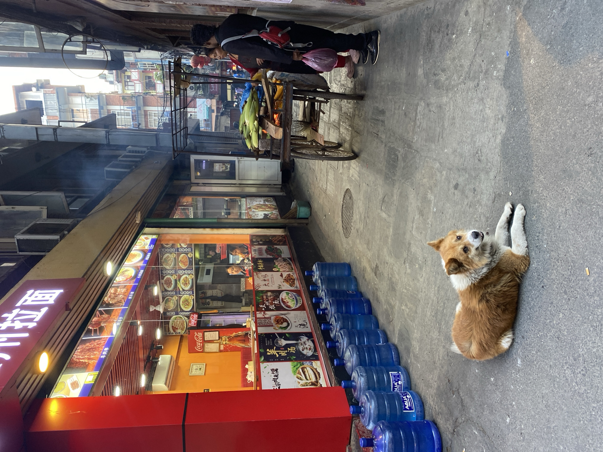 In Kathmandu Metropolitan City, Nepal, a street scene unfolds with a dog lying on the ground in the foreground. To the left, a restaurant with a red facade displays food images. In the middle ground, a cart with corn being grilled is attended by a woman and a man. Behind them, buildings and people are visible. A row of blue water jugs lines the left side of the image, leading towards the restaurant. The ground is paved with concrete.