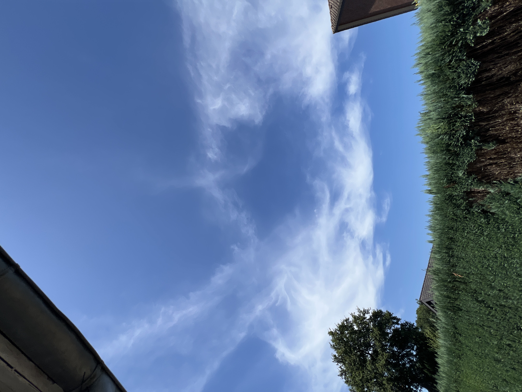 An outdoor, low-angle shot captures a bright blue sky filled with wispy white clouds. In the foreground, a dark, horizontal overhang occupies the top left corner. Below the sky, a dense green hedge runs horizontally across the image. To the left, a large, dark green tree stands tall, partially obscuring a dark-roofed building. To the right, the corner of a brown-tiled roof is visible. The environment appears to be a residential area on a clear day.