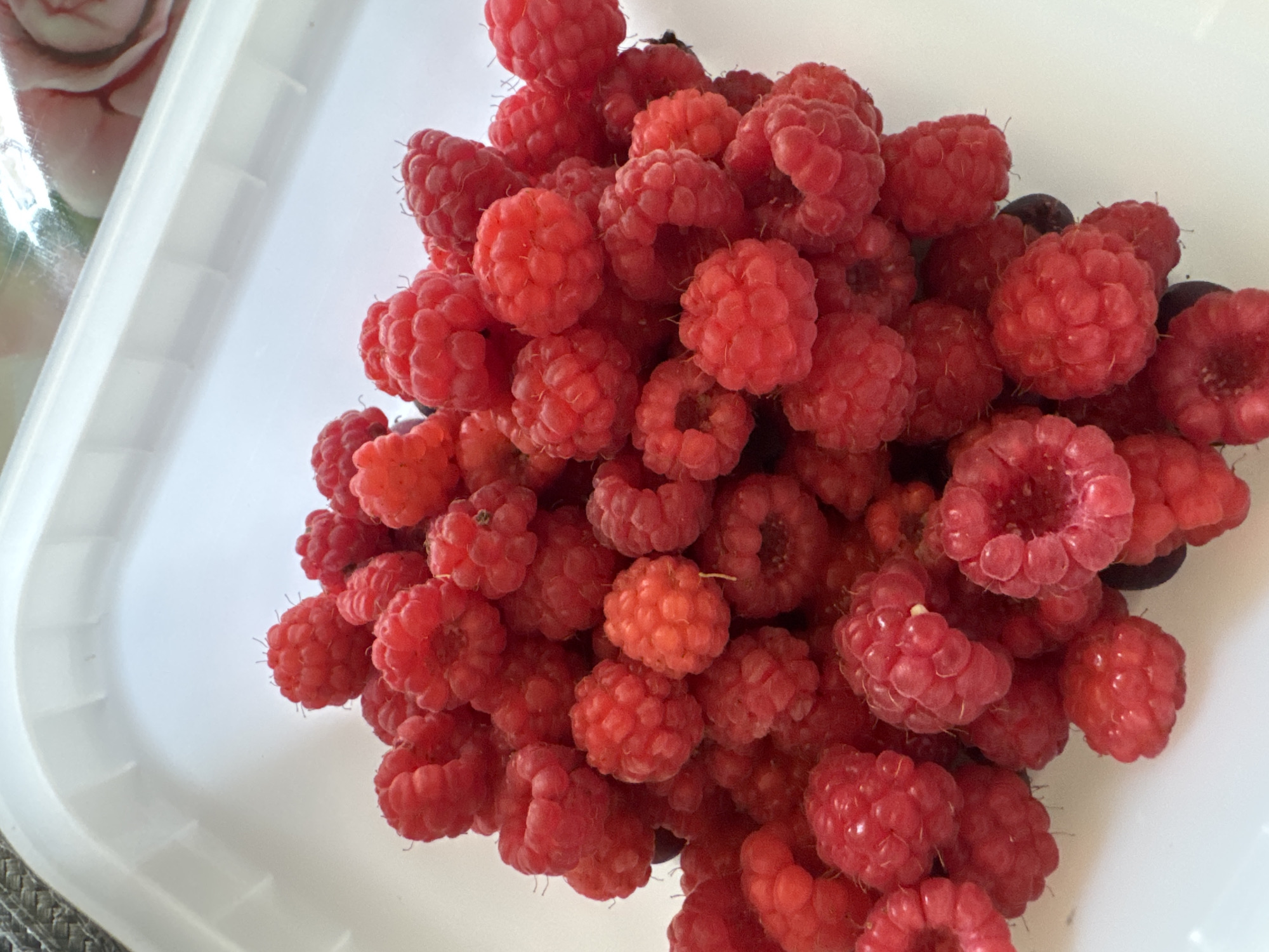 A close-up, overhead shot shows a pile of vibrant red raspberries filling a white plastic container. The raspberries are clustered together, with some showing a slight sheen from moisture. The background of the container is a clean, bright white, with the edge of a clear plastic lid visible at the top, reflecting a soft, pinkish-white pattern, possibly a floral design. The lighting is bright and natural, illuminating the textures and colors of the fruit. There are no people or animals present in the image, nor any indication of the city of Pozdyshki, Russia. The scene is a simple, still life of fresh fruit.