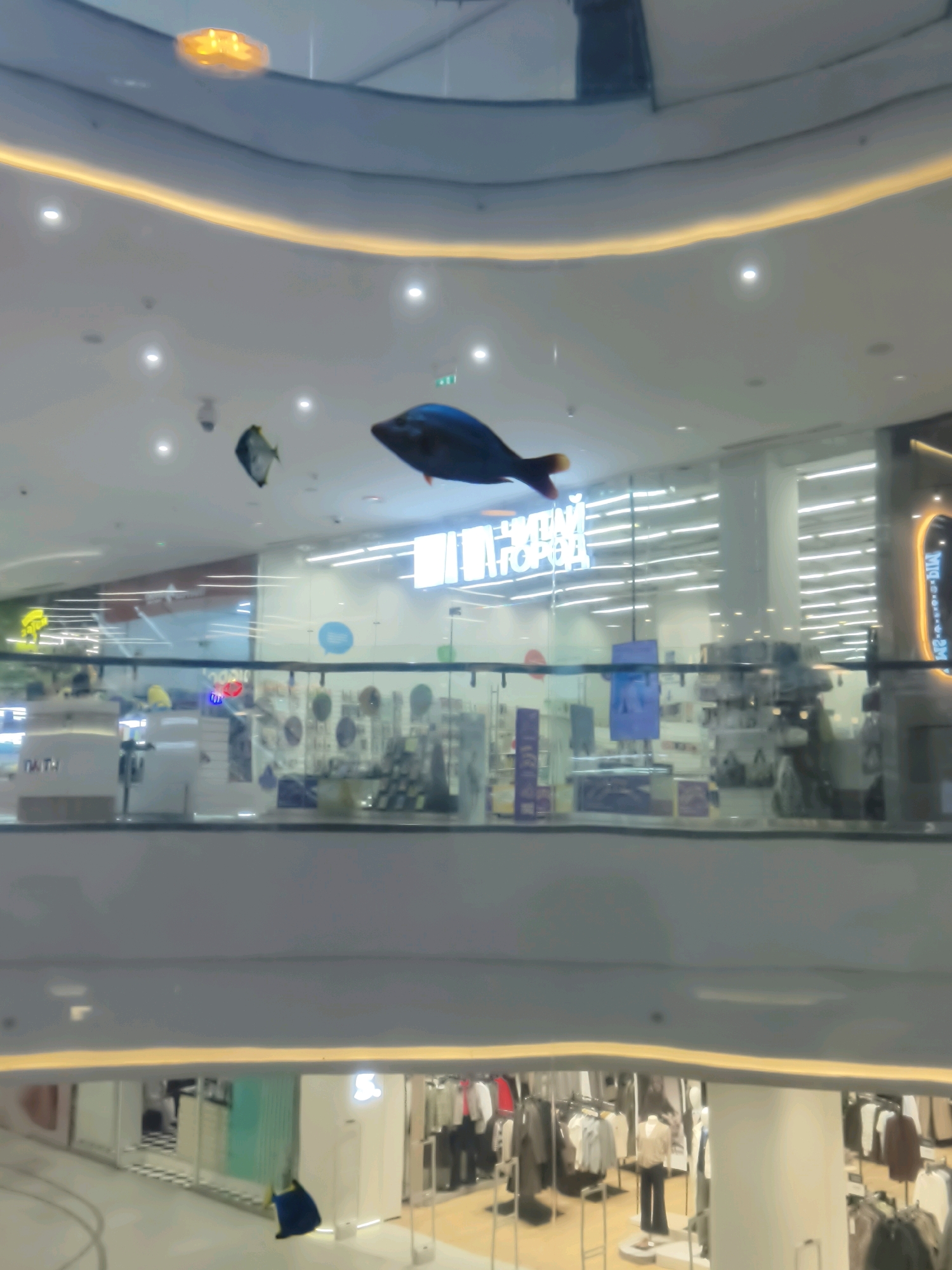 This image captures a wide shot of the interior of a multi-level shopping mall, likely in Moscow, Russia, due to the signage visible. The perspective is from an upper level looking down onto lower levels and across to shops. Suspended from the ceiling are decorative elements, including what appear to be large, artificial fish and a circular orange light fixture.
The middle level features glass railings, behind which various storefronts are visible. One prominent sign displays blue Cyrillic lettering that reads "ЧИТАЙ ГОРОД," which translates to "Chitay Gorod," a known bookstore chain. Other stores display merchandise, with some appearing to be clothing retailers given the presence of mannequins and clothing racks.
The lower level is also visible, showing more shops and what looks like a central atrium or open area. The overall environment is brightly lit with fluorescent and recessed lighting, typical of a modern shopping complex. The reflections on the glass surfaces indicate the presence of interior lighting and the structure of the mall itself. No individuals are clearly identifiable in the image. The scene depicts a typical commercial retail environment.