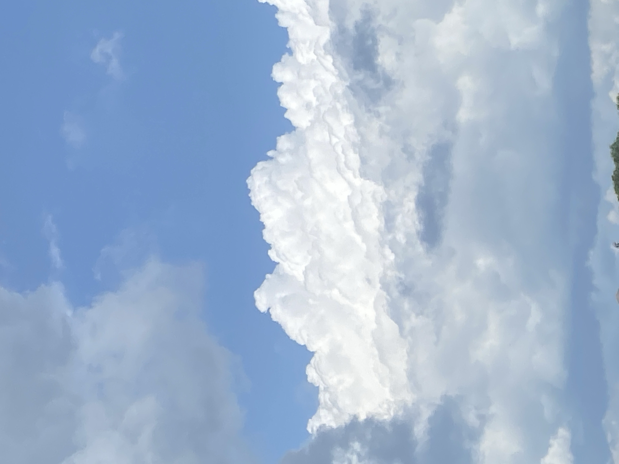 A close-up, medium-angle shot captures a vast expanse of the sky filled with dense, white, puffy clouds. The clouds exhibit significant depth and texture, with varied shades of white and grey, suggesting a dynamic weather pattern. The blue sky is visible between and above the cloud formations. The bottom edge of the frame reveals a sliver of green foliage, hinting at a terrestrial landscape below, though it is largely out of focus and indistinct. The lighting suggests it is daytime, with sunlight illuminating the upper surfaces of the clouds.