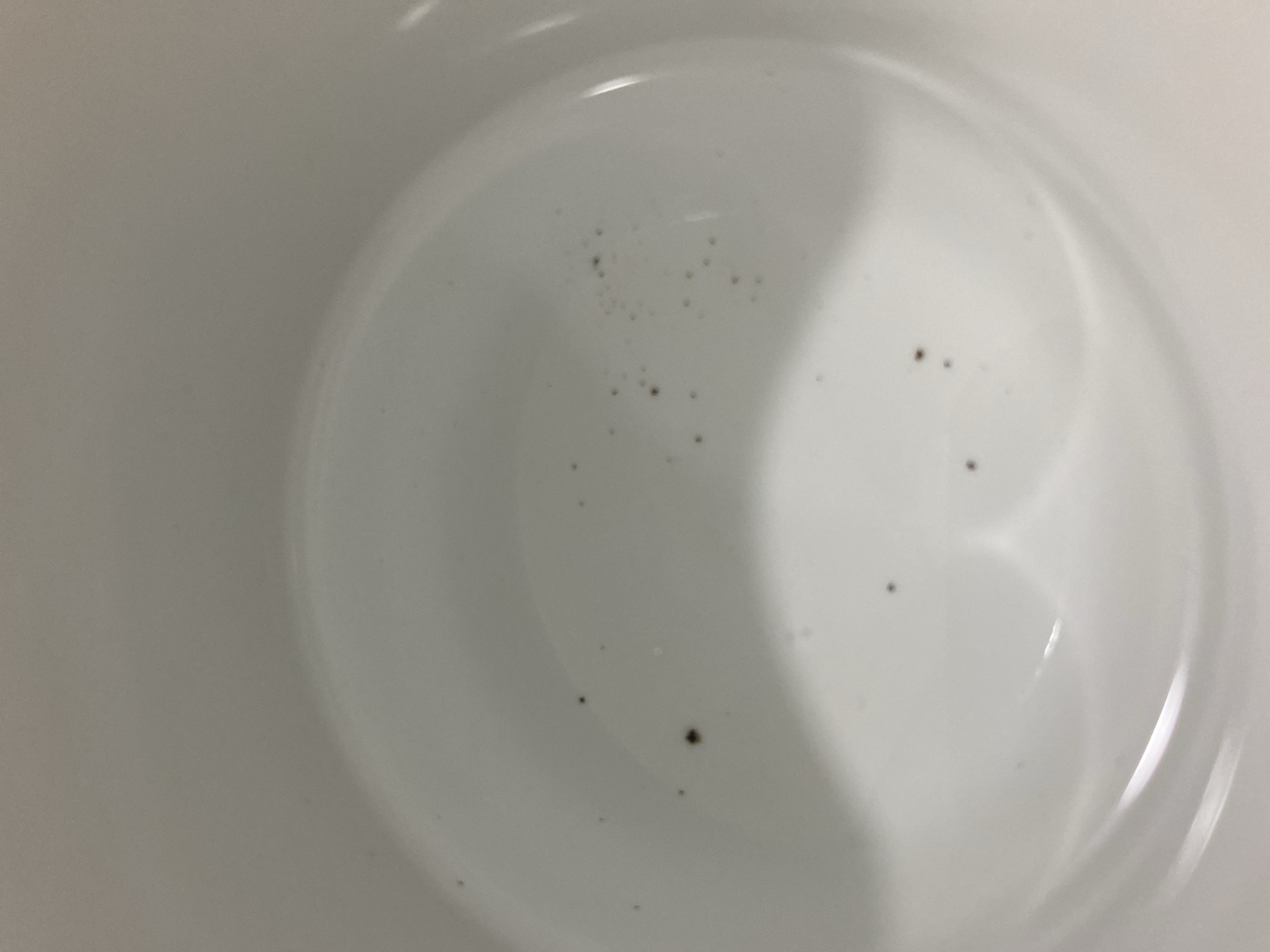 The image shows the inside of a white ceramic mug. There are several small, dark specks scattered across the bottom and sides of the mug. These specks appear to be foreign debris, possibly coffee grounds or tea leaves, or remnants of food. The lighting in the image creates shadows and highlights on the curved surface of the mug. No people or other objects are visible.
