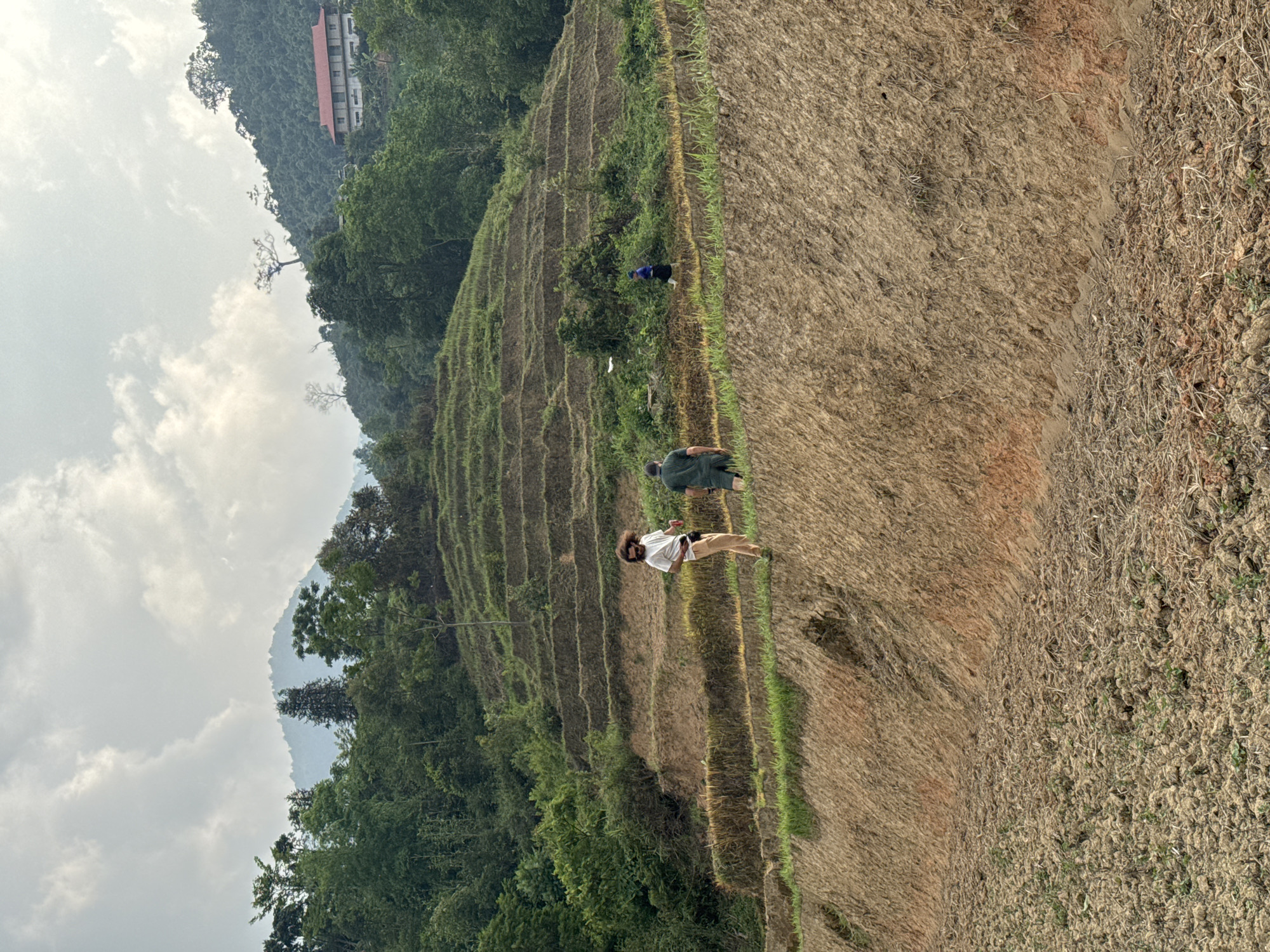 The image depicts terraced rice paddies in Pờ Ly Ngài Commune, Vietnam. The terraces are a mix of green vegetation and harvested brown stalks. Two people are walking along the terraces; one is wearing a white shirt, the other a green shirt. Another person is wearing a blue top. The background includes forested hills and a cloudy sky. A building with a red roof is visible in the upper left.