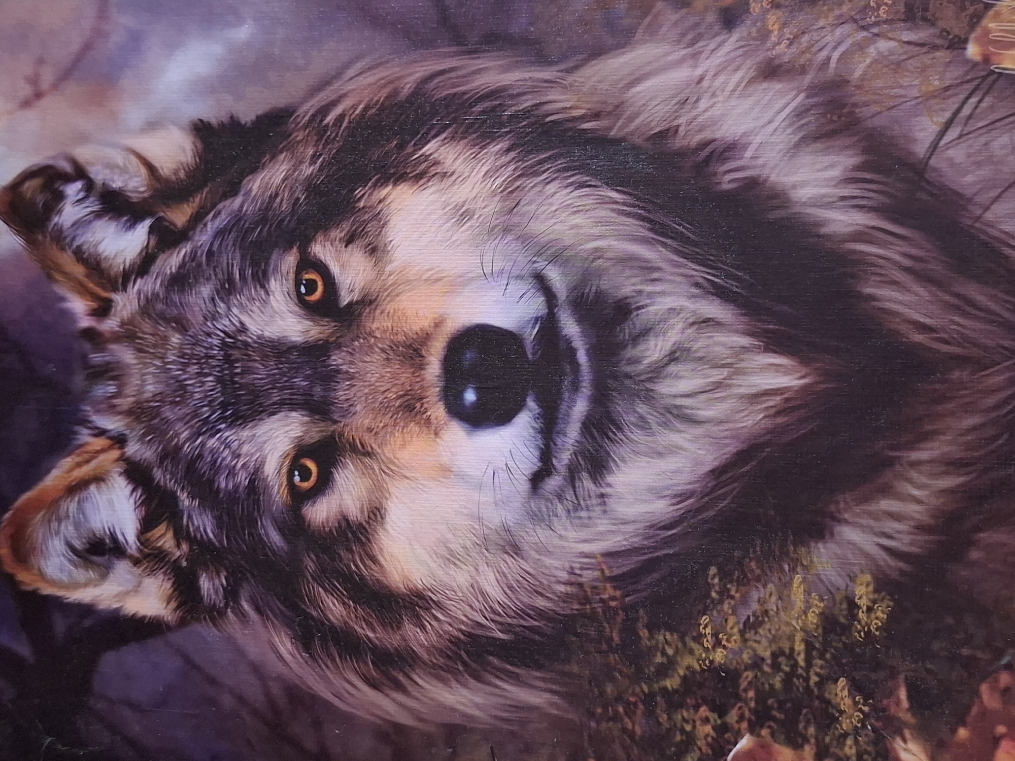 This is a close-up, frontal portrait of a wolf, rendered in what appears to be an oil painting or a highly detailed digital illustration. The wolf's fur is depicted with a mix of dark brown, gray, and lighter tan and white tones, creating a textured and realistic appearance. Its eyes are a striking amber or orange color, and its black nose is prominently featured. The wolf's expression is neutral, with a slightly parted mouth revealing the hint of teeth. The background is dark and somewhat indistinct, with suggestions of foliage or forest elements rendered in muted purples, browns, and greens, hinting at a natural, possibly wild, environment. There are no people, objects, or actions depicted in the image. The location in Zemun Urban Municipality, Serbia, is not evident from the image itself.